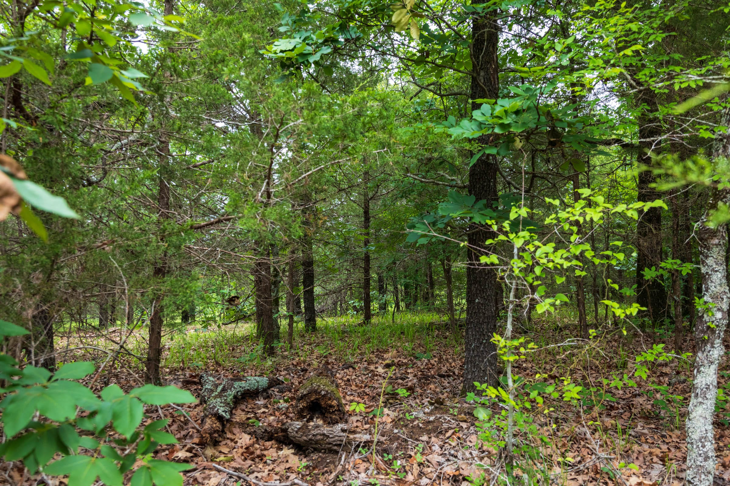 Falcon Crest Tract 32 photo 18