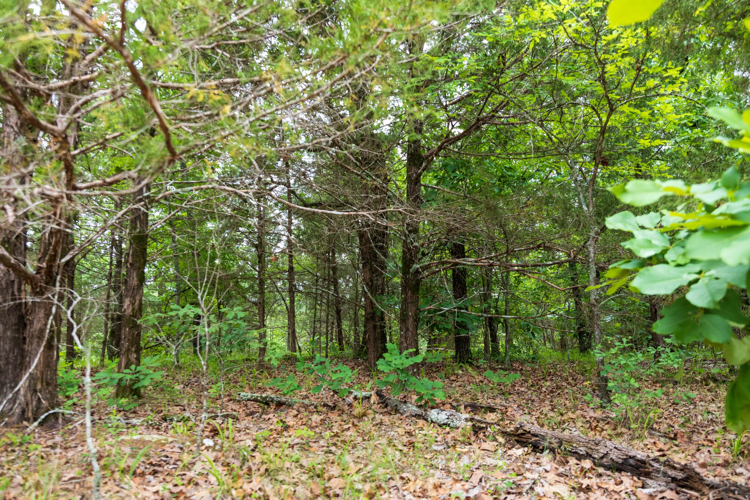Falcon Crest Tract 32 photo 19