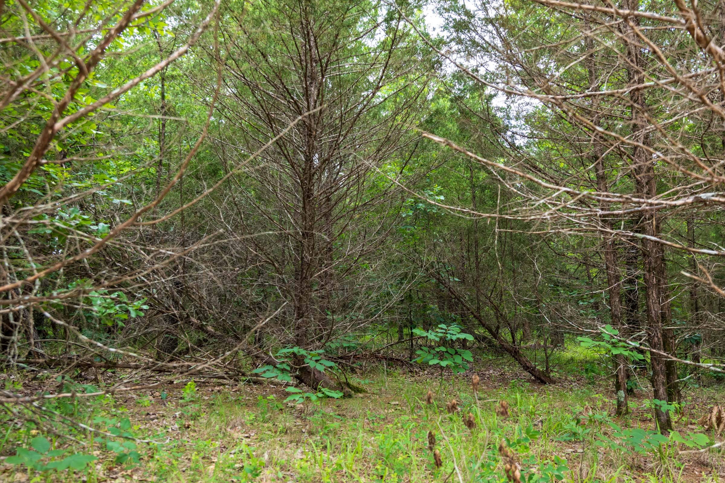 Falcon Crest Tract 32 photo 21
