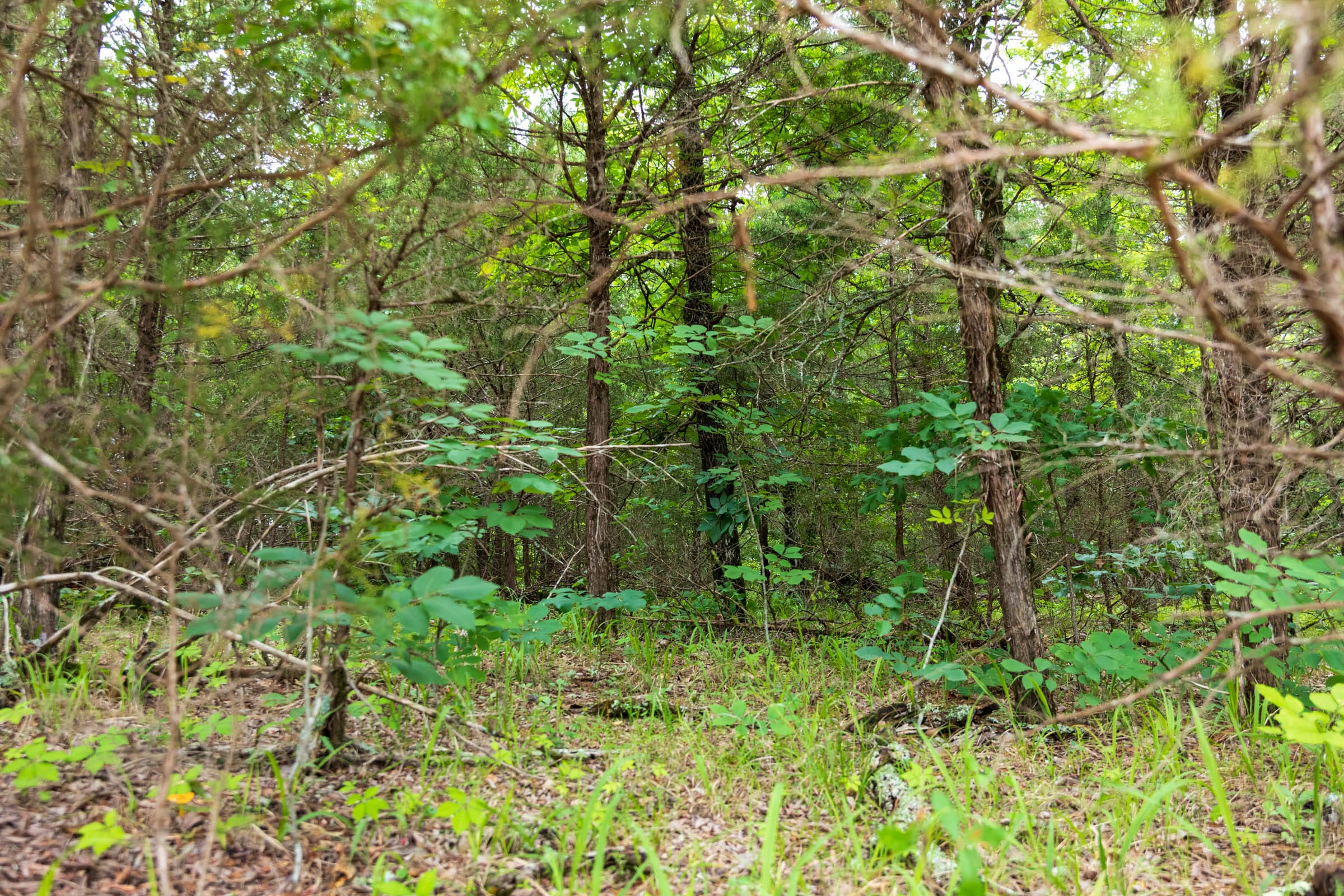 Falcon Crest Tract 32 photo 23
