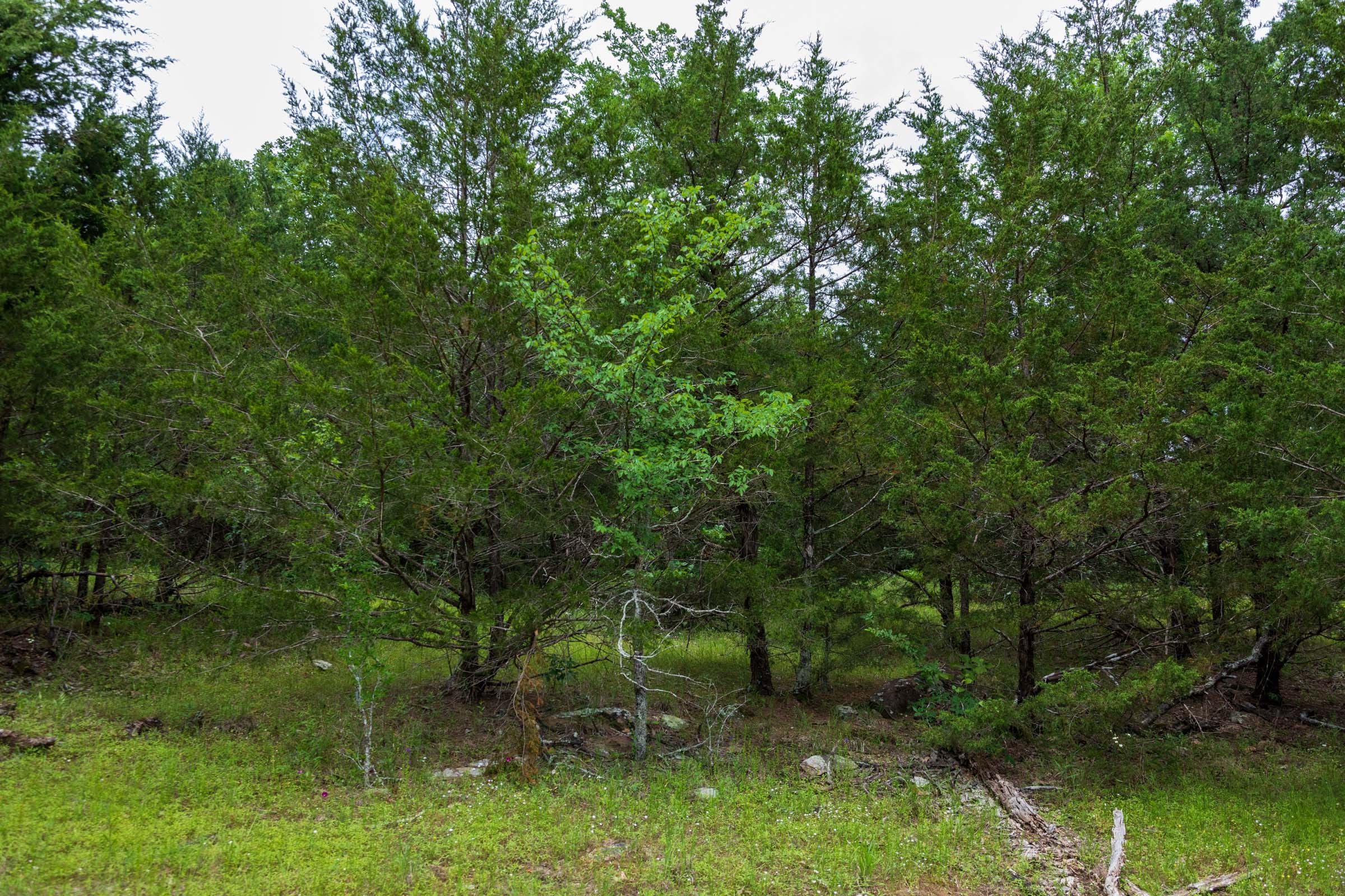 Falcon Crest Tract 32 photo 25