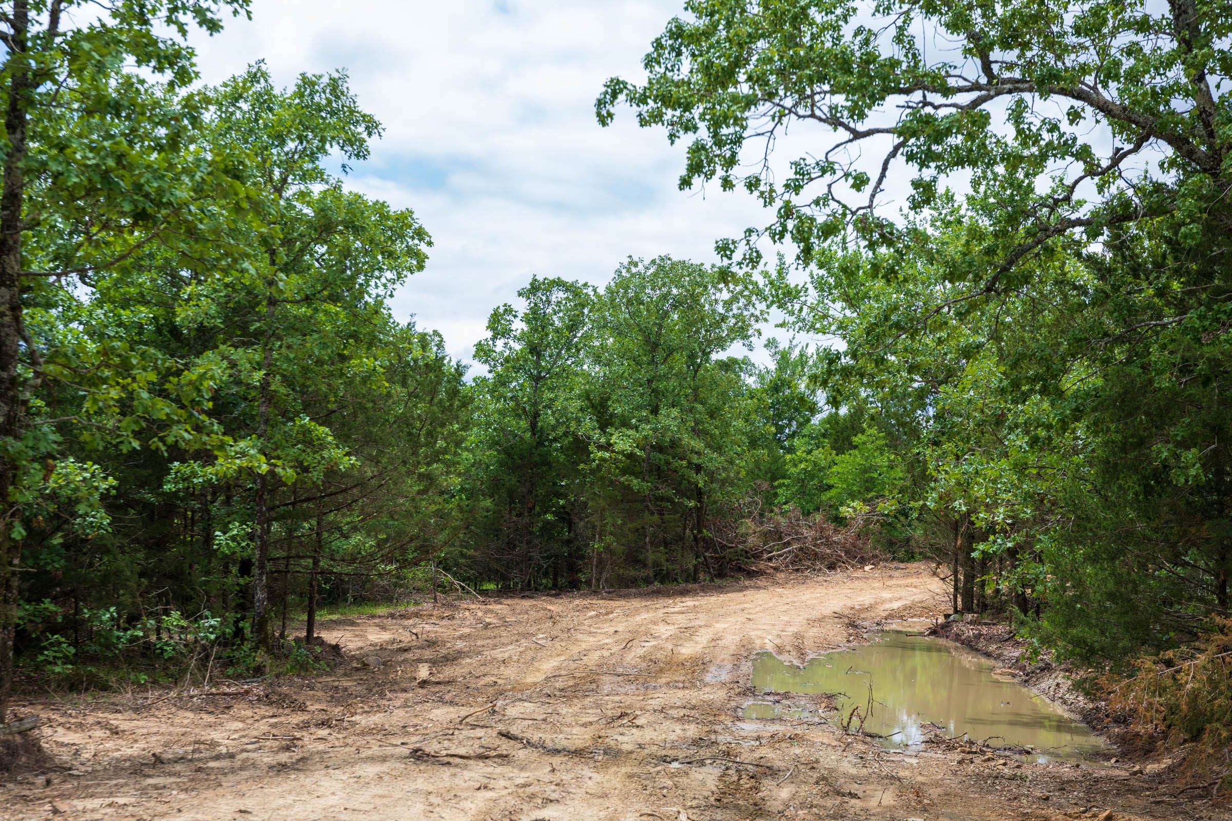 Falcon Crest Tract 32 photo 26