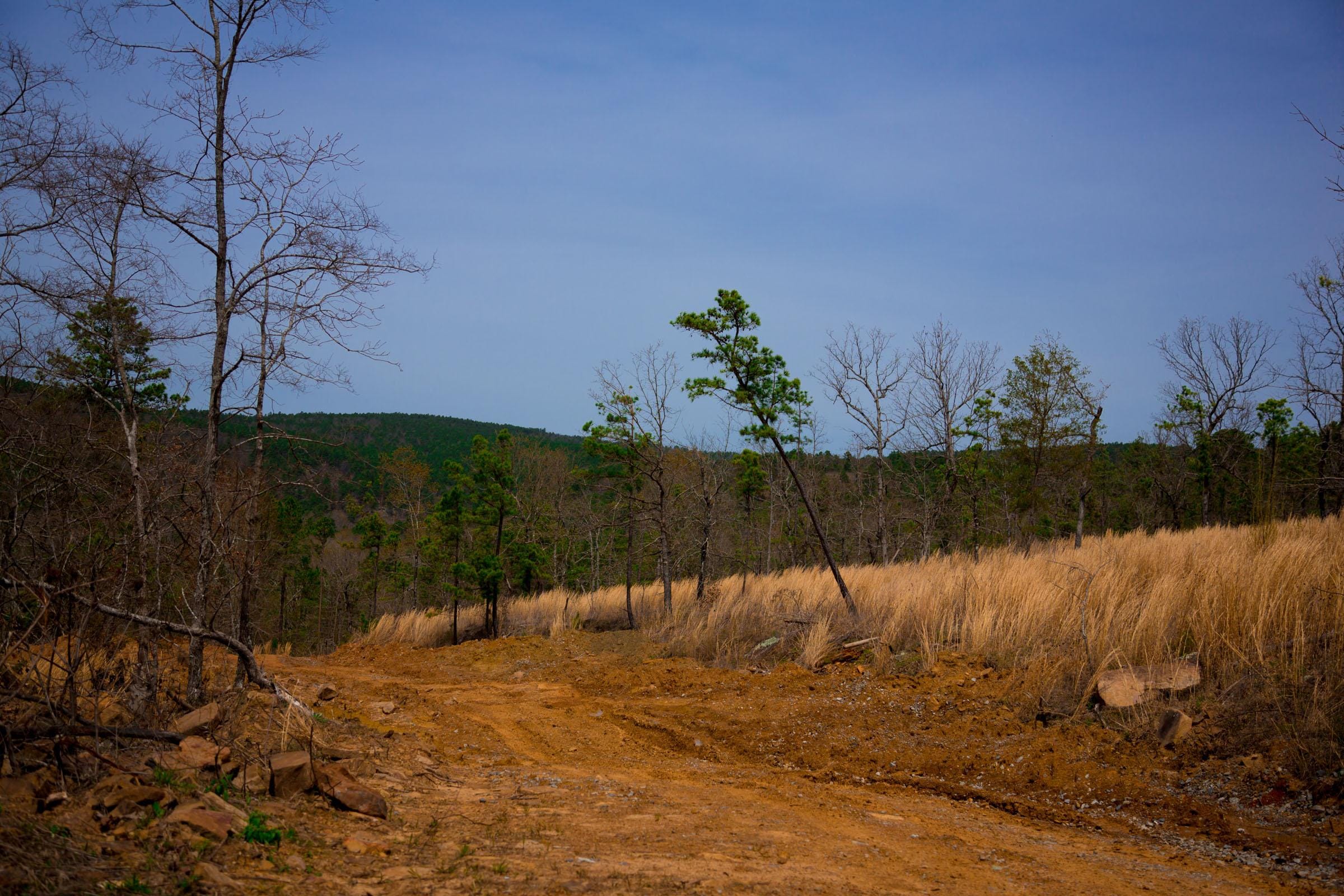 Stone Creek Phase II Tract 203 photo 2