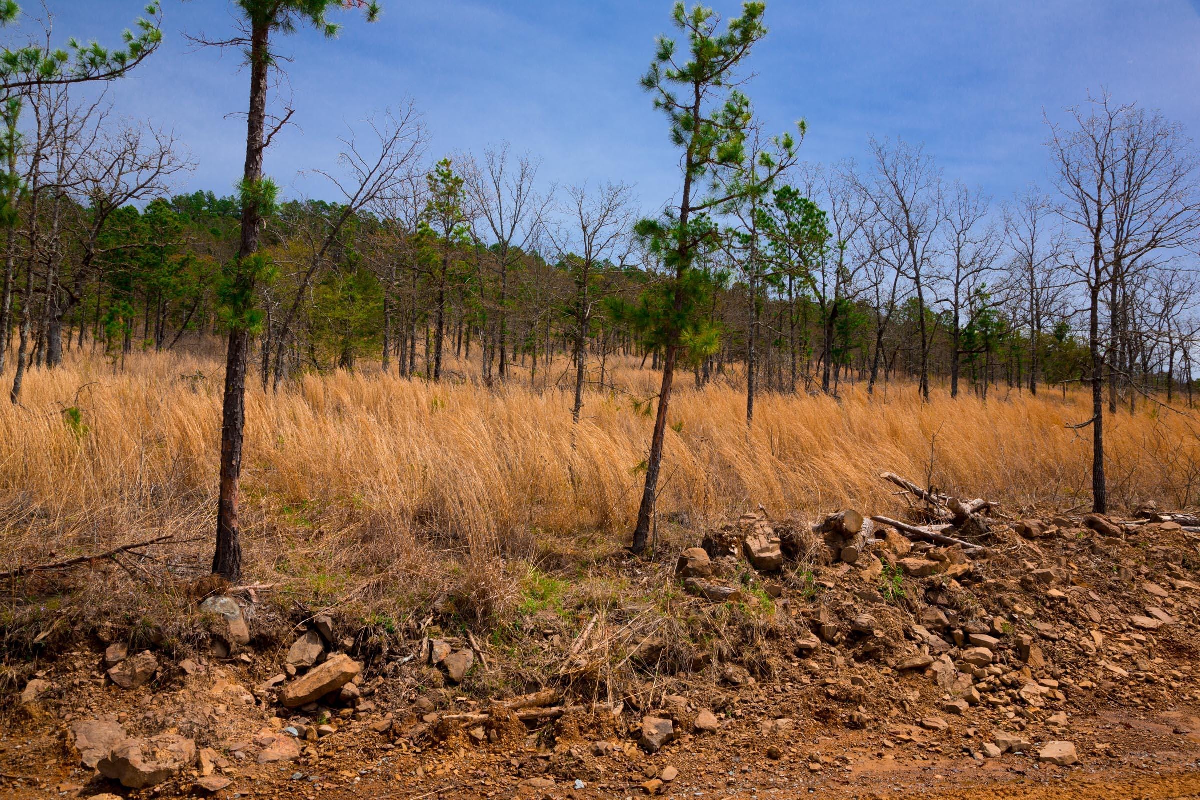 Stone Creek Phase II Tract 203 photo 3