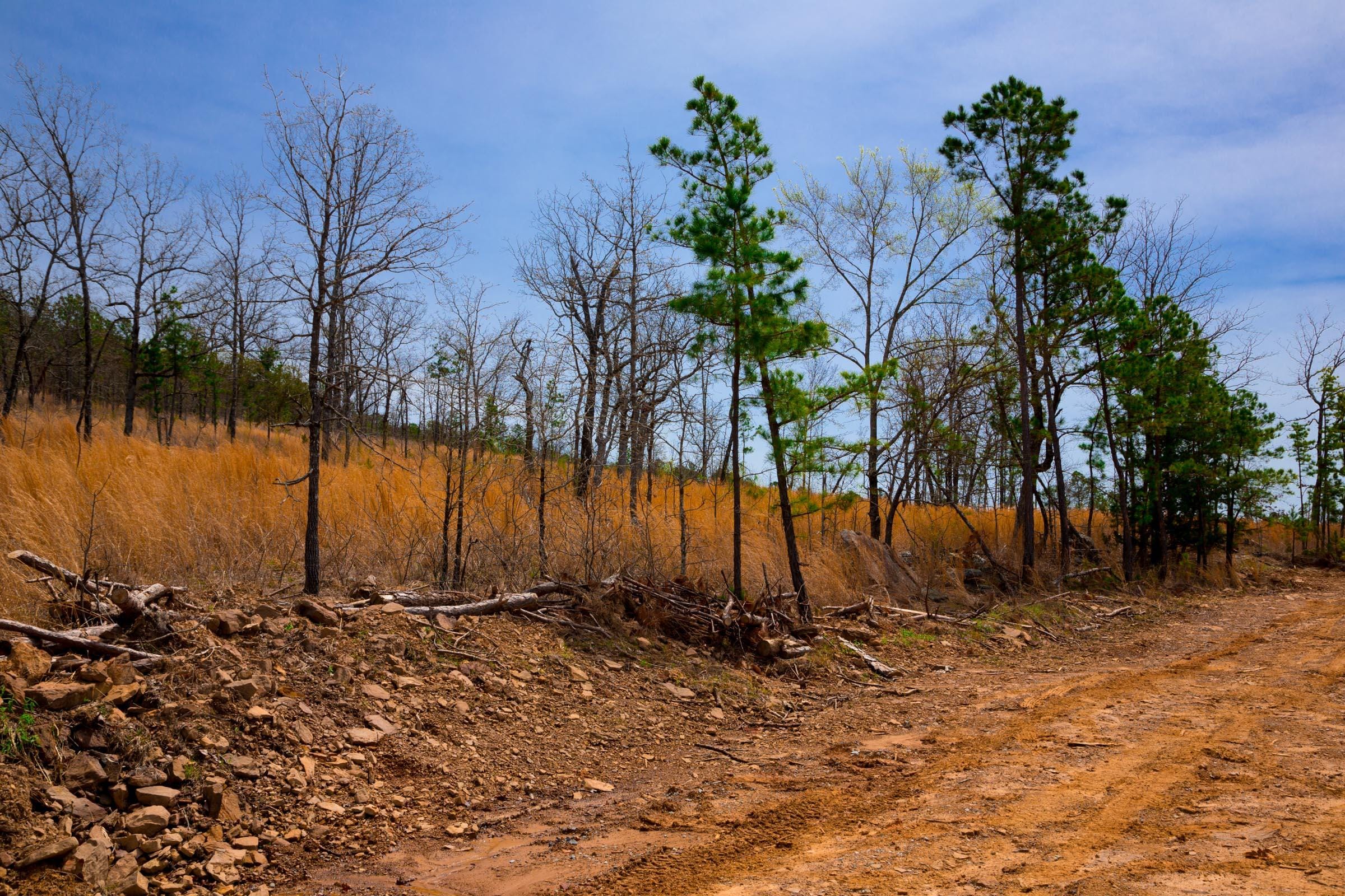 Stone Creek Phase II Tract 203 photo 4