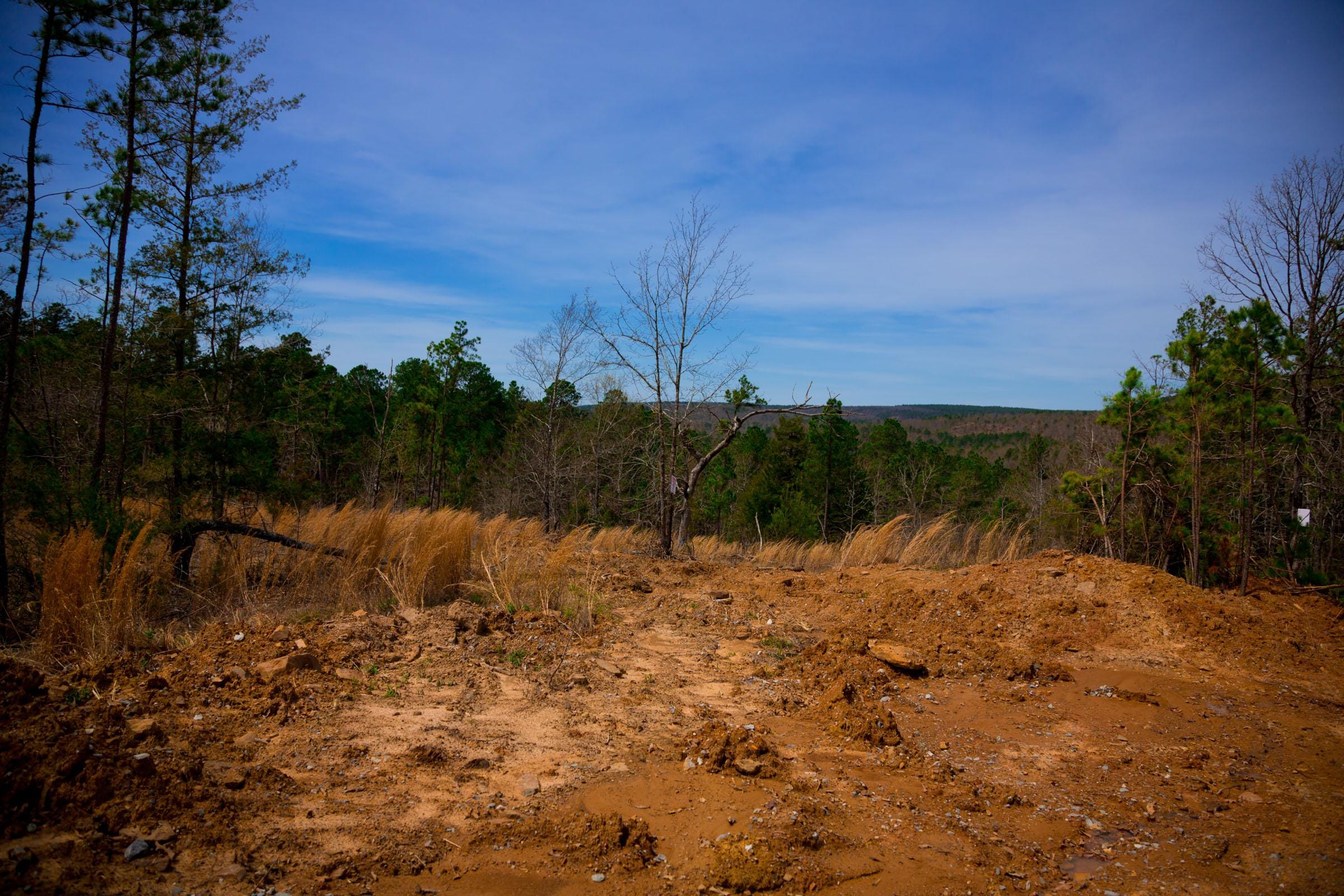 Stone Creek Phase II Tract 203 photo 6