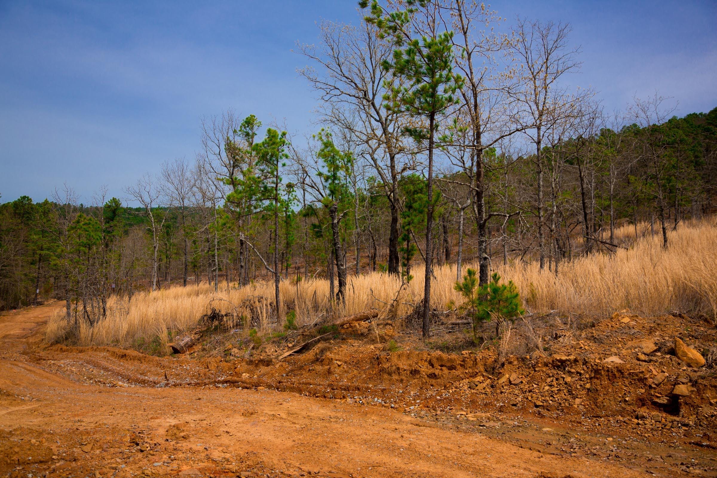 Stone Creek Phase II Tract 203 photo 7