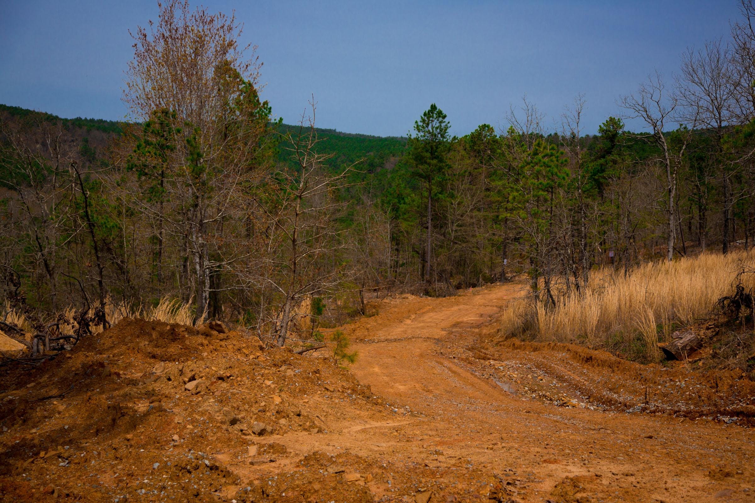 Stone Creek Phase II Tract 203 photo 9