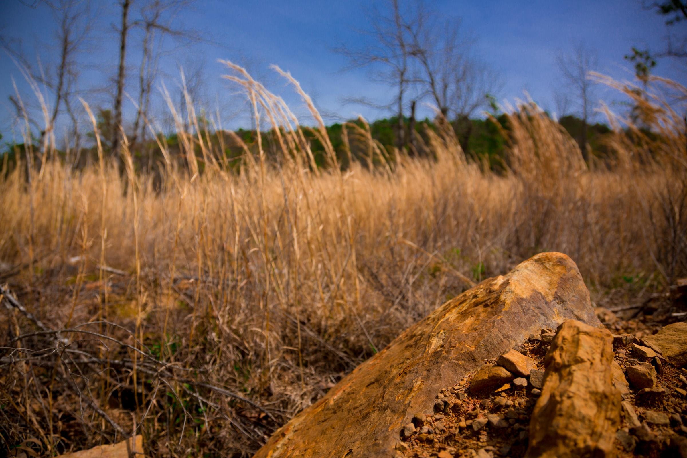 Stone Creek Phase II Tract 203 photo 11