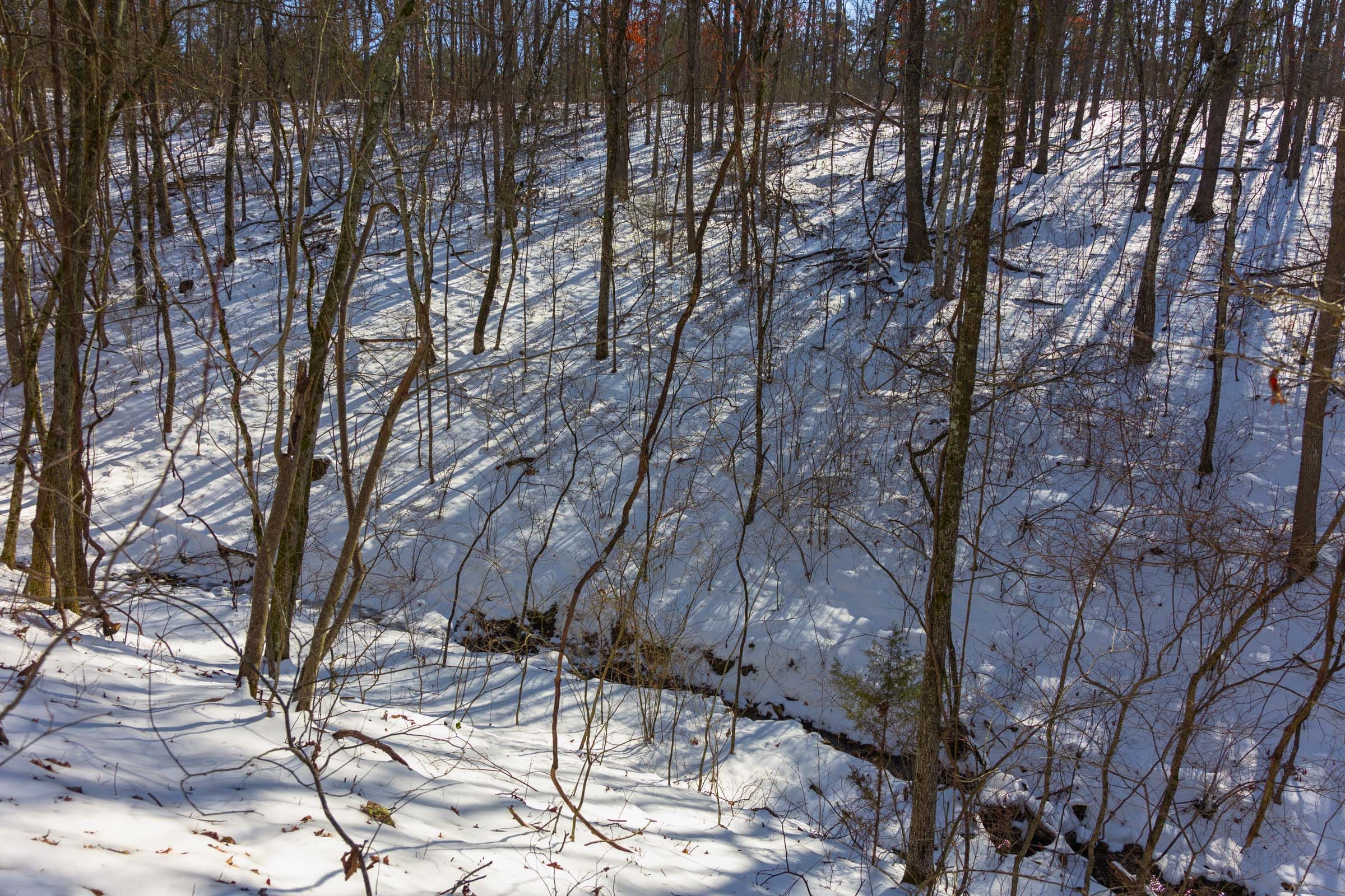 Sleepy Hollow Phase I Tract 1 photo 14