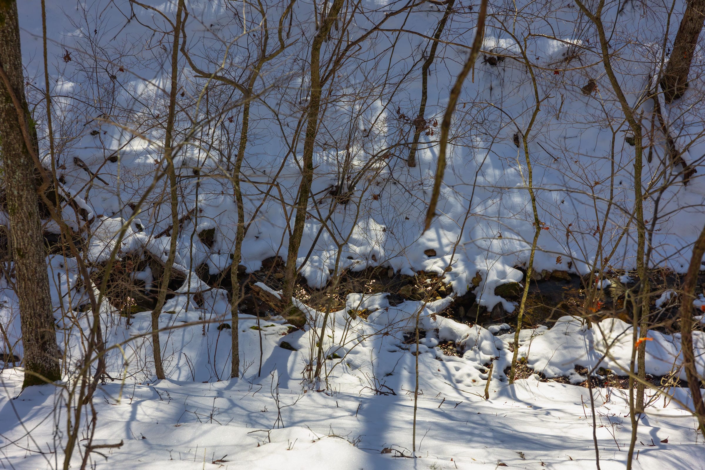 Sleepy Hollow Phase I Tract 1 photo 3