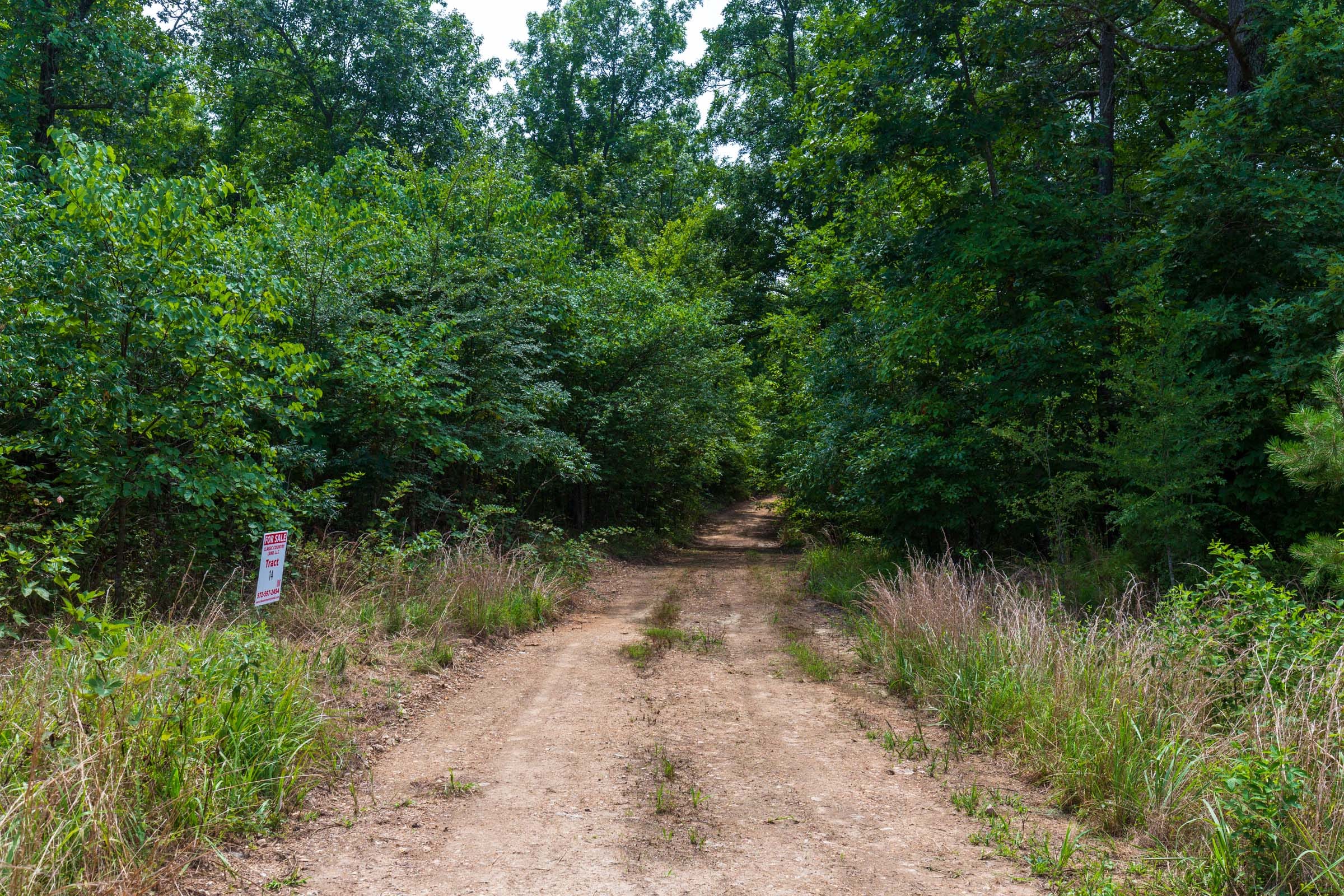 Cypress Ridge Tract 14 photo 1
