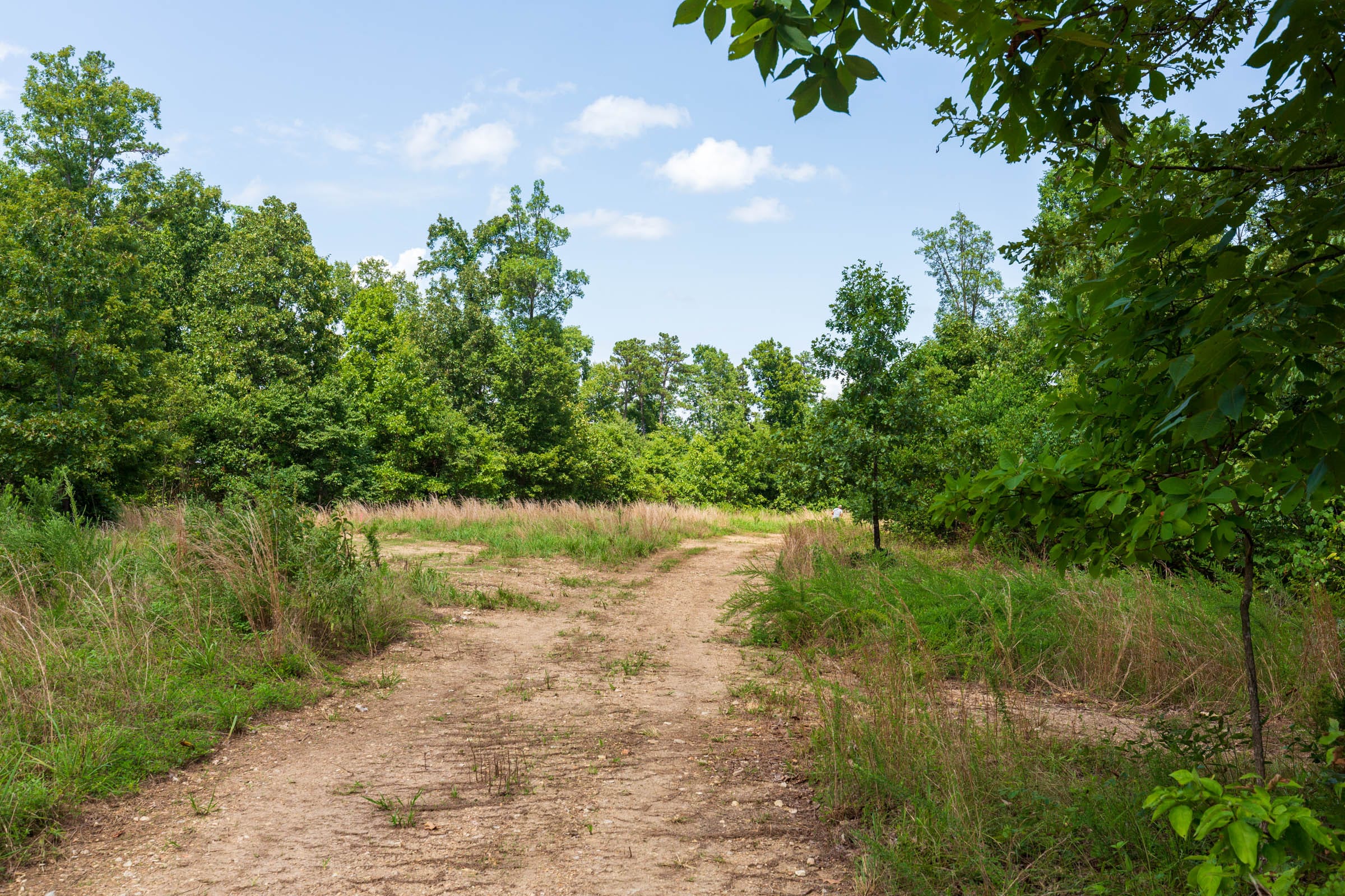 Cypress Ridge Tract 14 photo 5