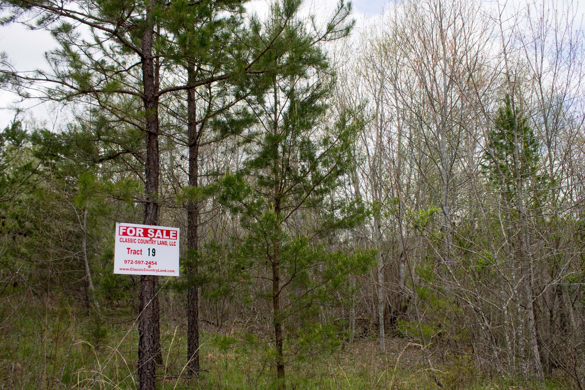 Hidden Hills Tract 19 photo 1