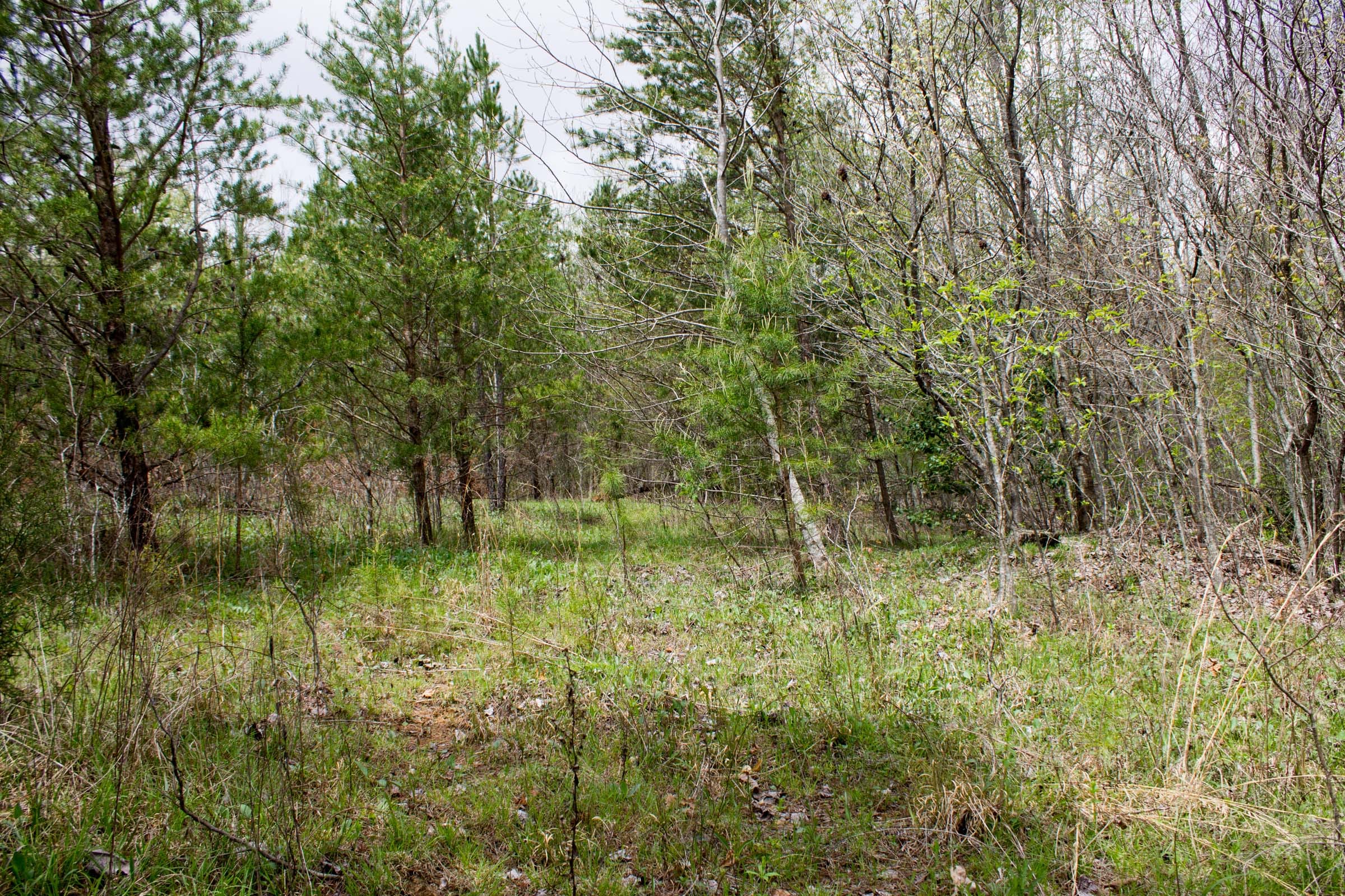 Hidden Hills Tract 19 photo 3