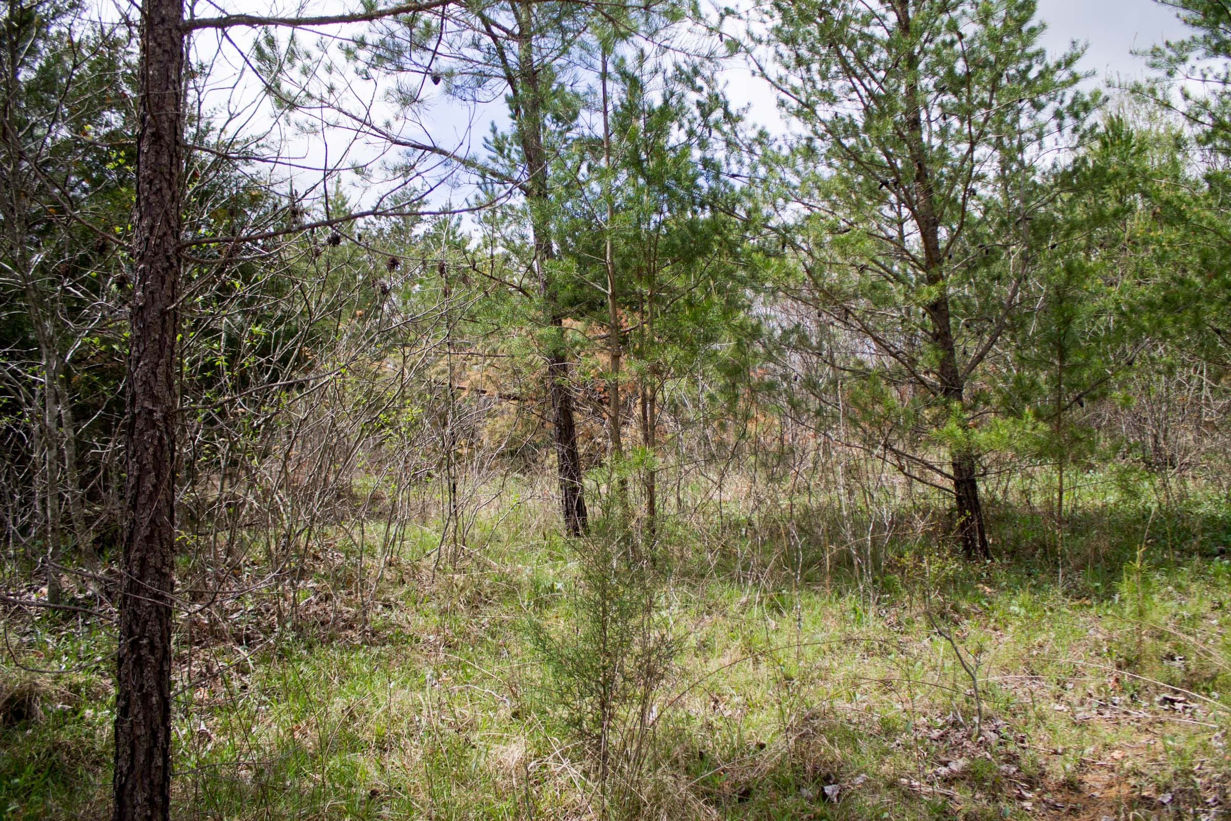 Hidden Hills Tract 19 photo 5