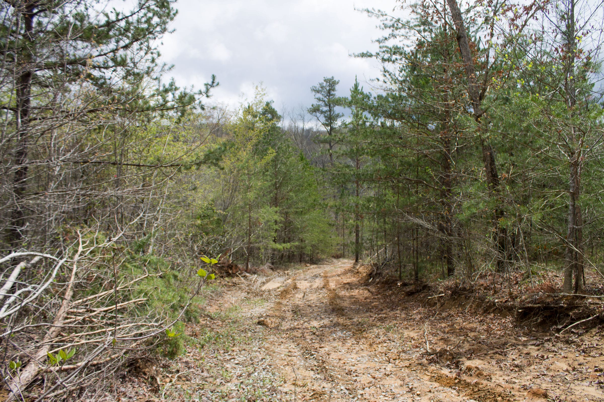 Hidden Hills Tract 19 photo 2
