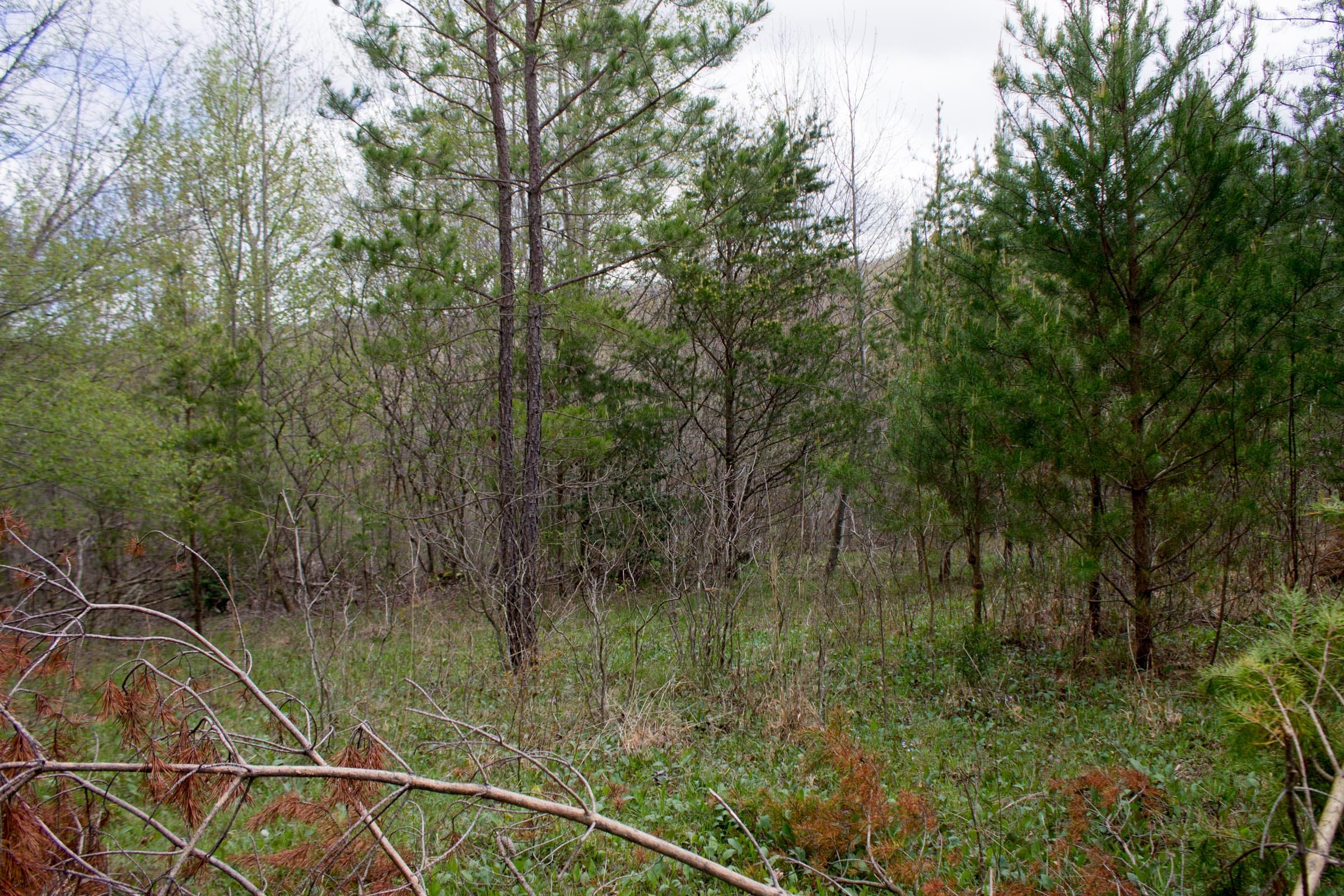 Hidden Hills Tract 19 photo 7
