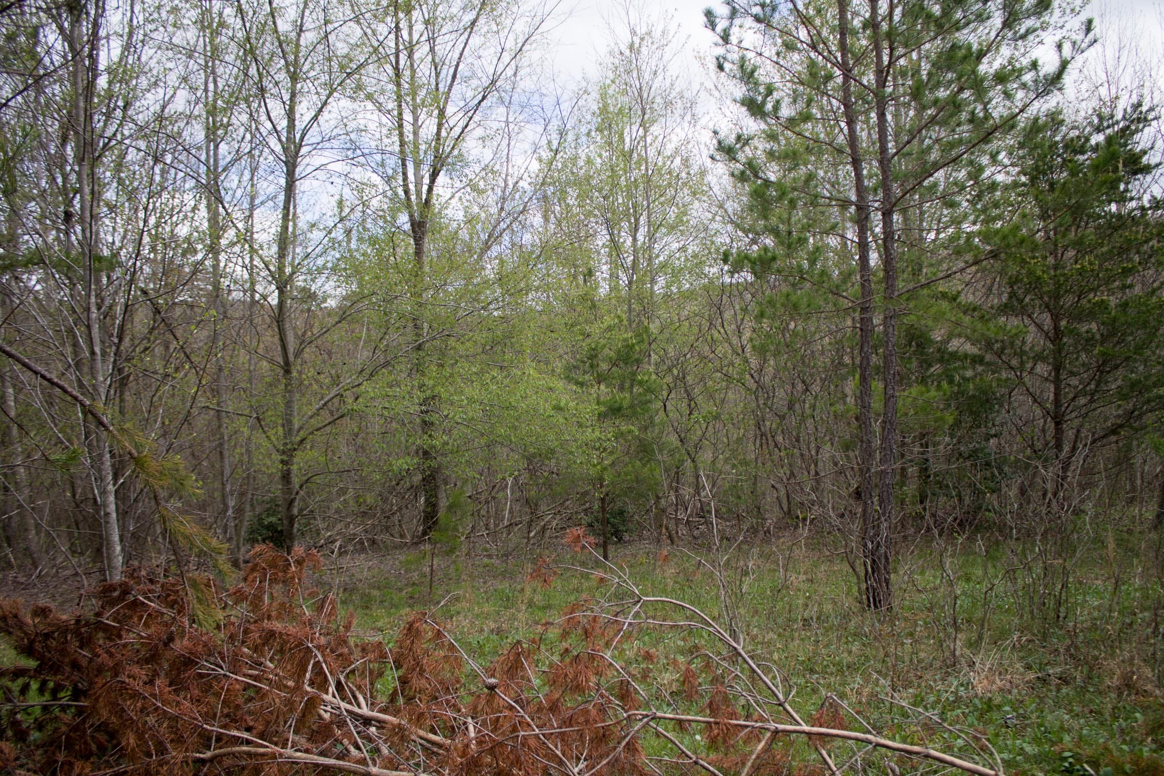 Hidden Hills Tract 19 photo 10