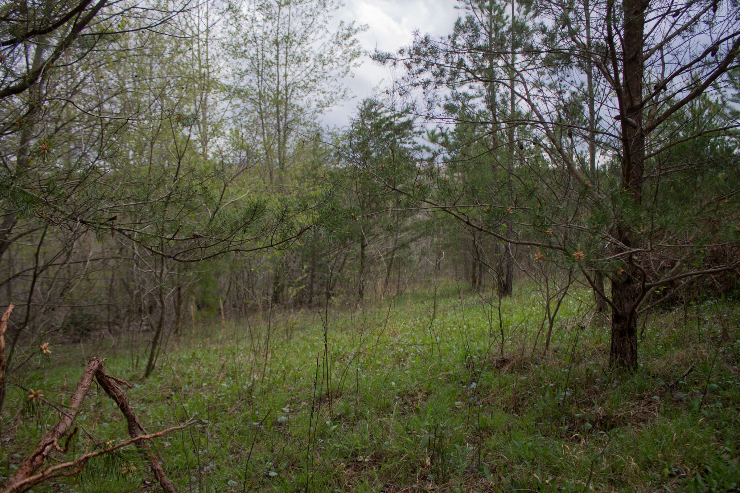 Hidden Hills Tract 19 photo 12