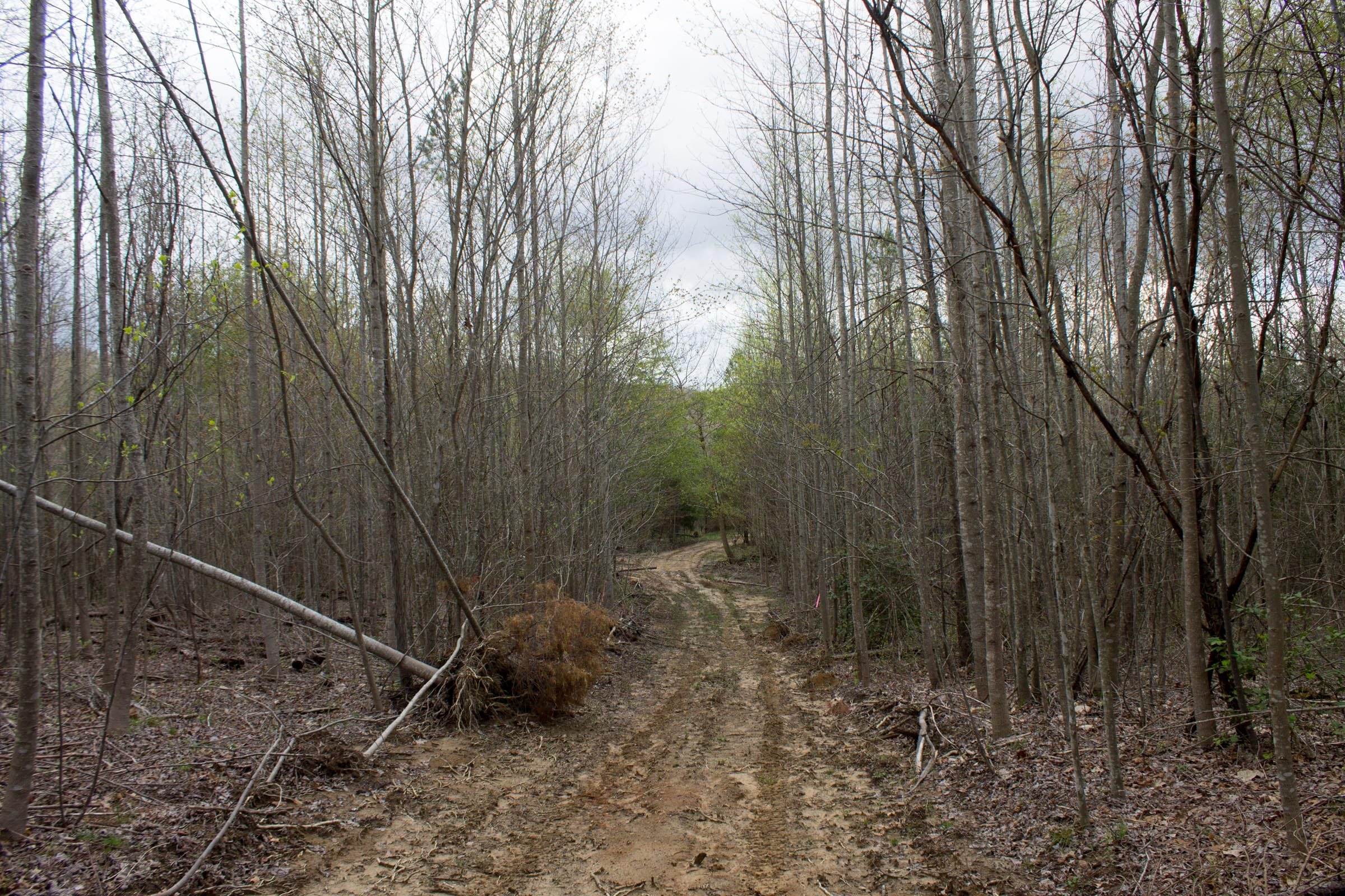 Hidden Hills Tract 19 photo 9