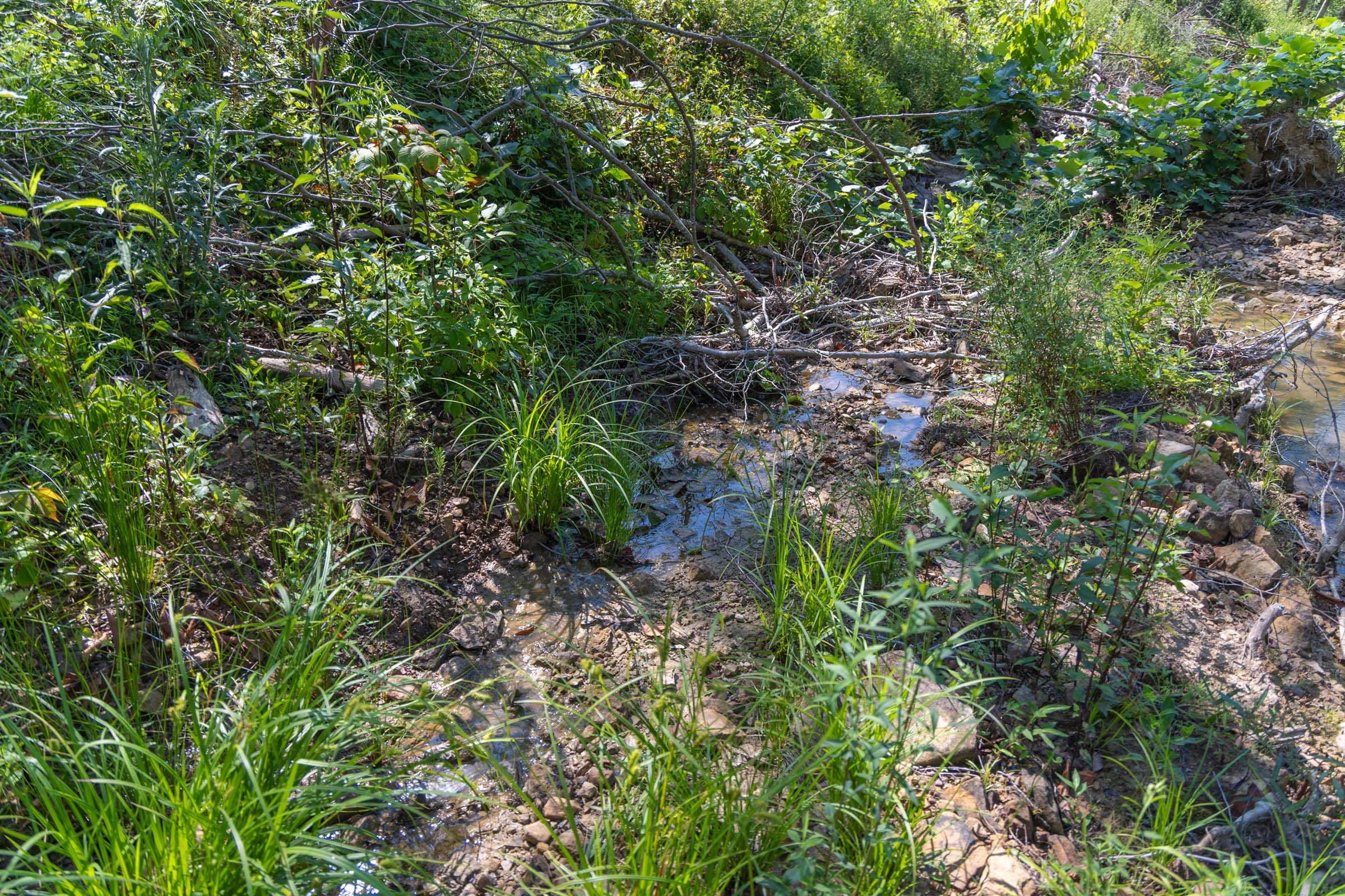Creek Hollow Phase II Tract 66 photo 3