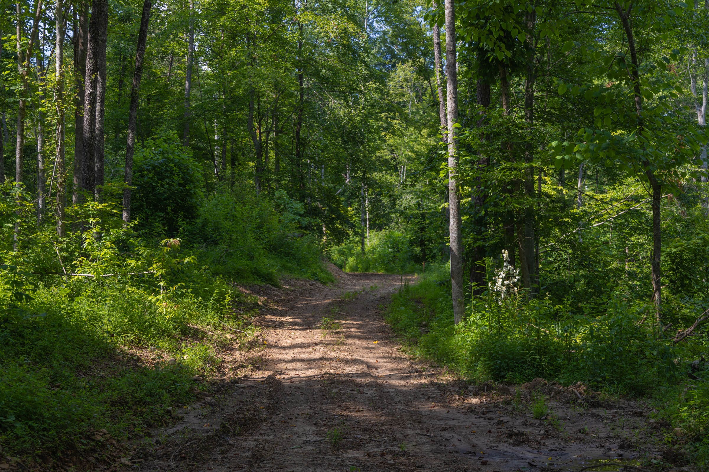 Creek Hollow Phase II Tract 66 photo 7
