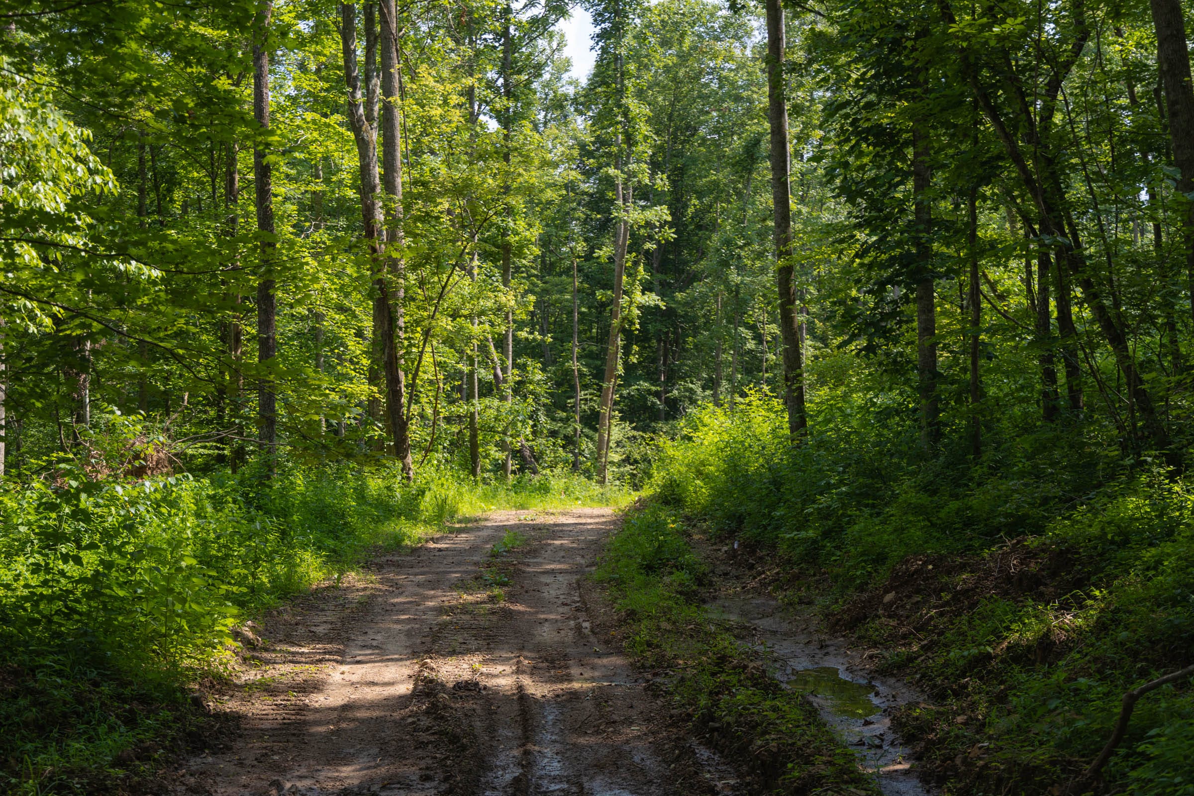 Creek Hollow Phase II Tract 66 photo 2