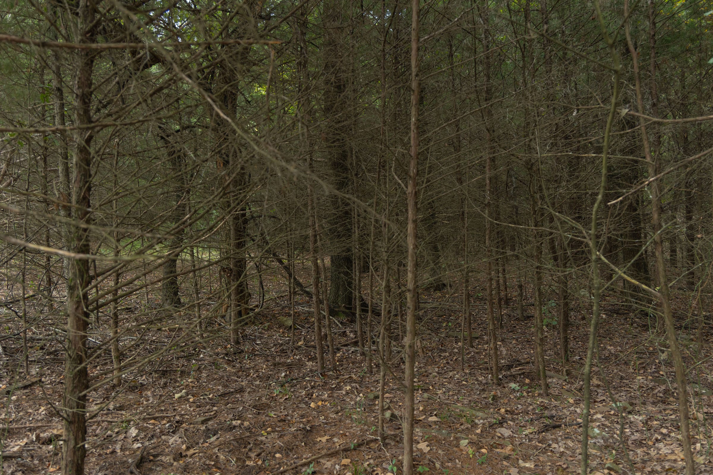 Reserves At Cattail Cove Phase II Tract 48 photo 8