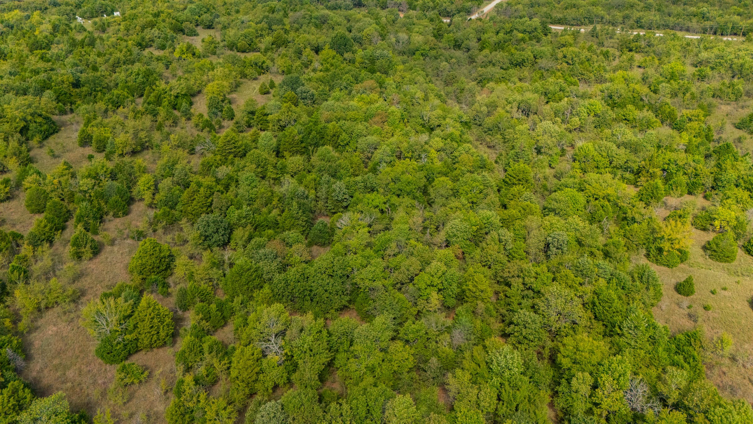 Reserves At Cattail Cove Phase II Tract 48 photo 1