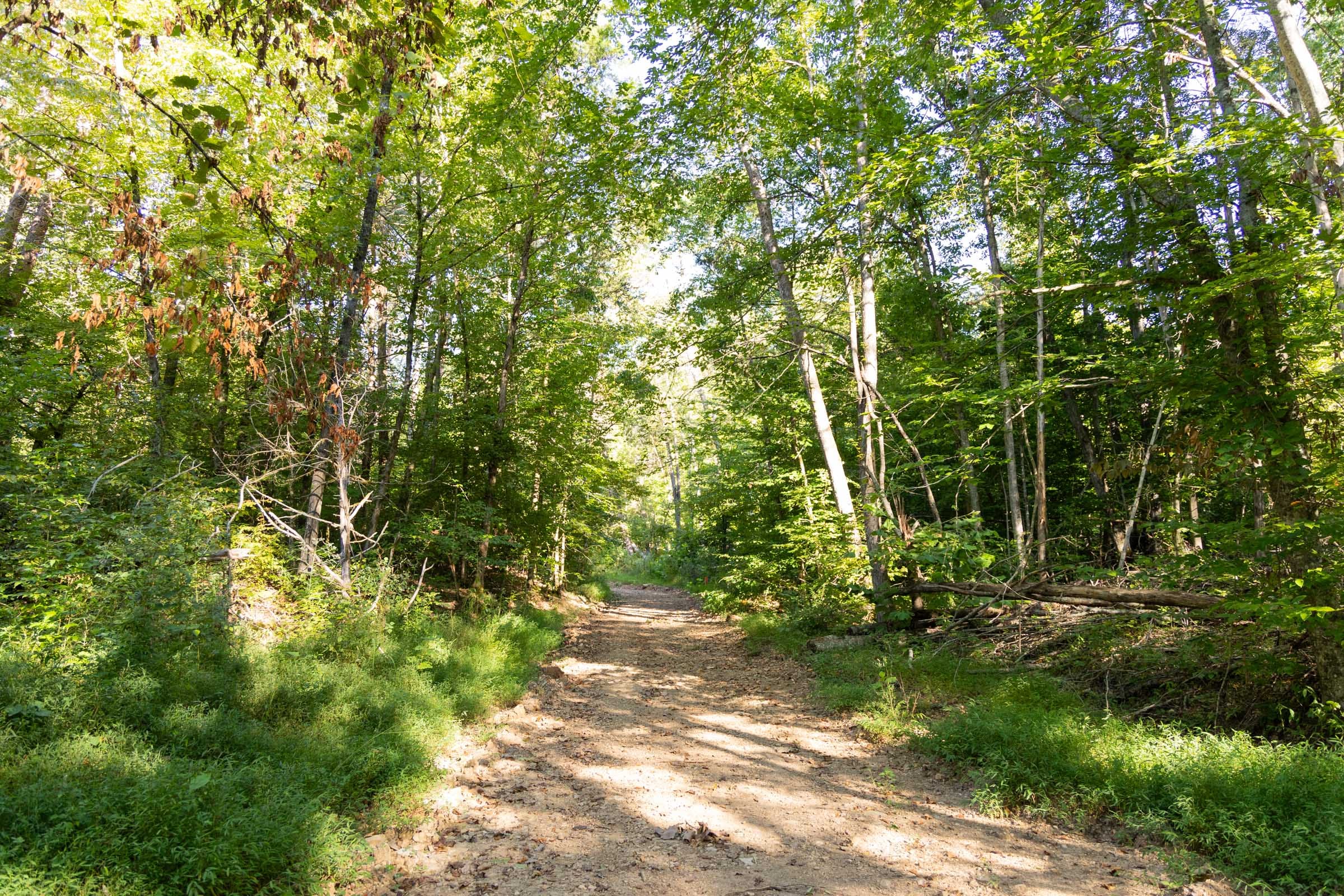Big White Oak Tract 89 photo 11