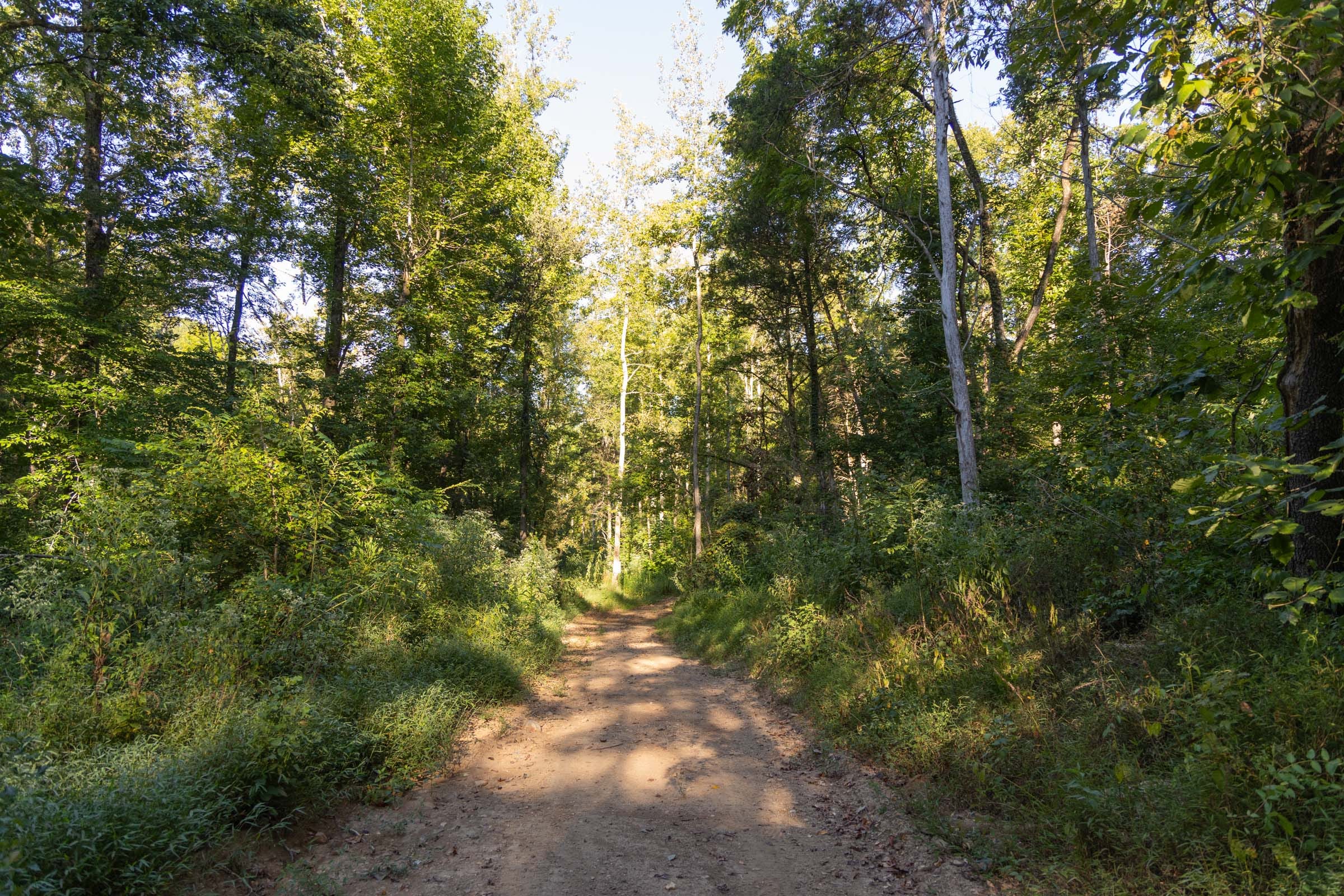 Big White Oak Tract 89 photo 1