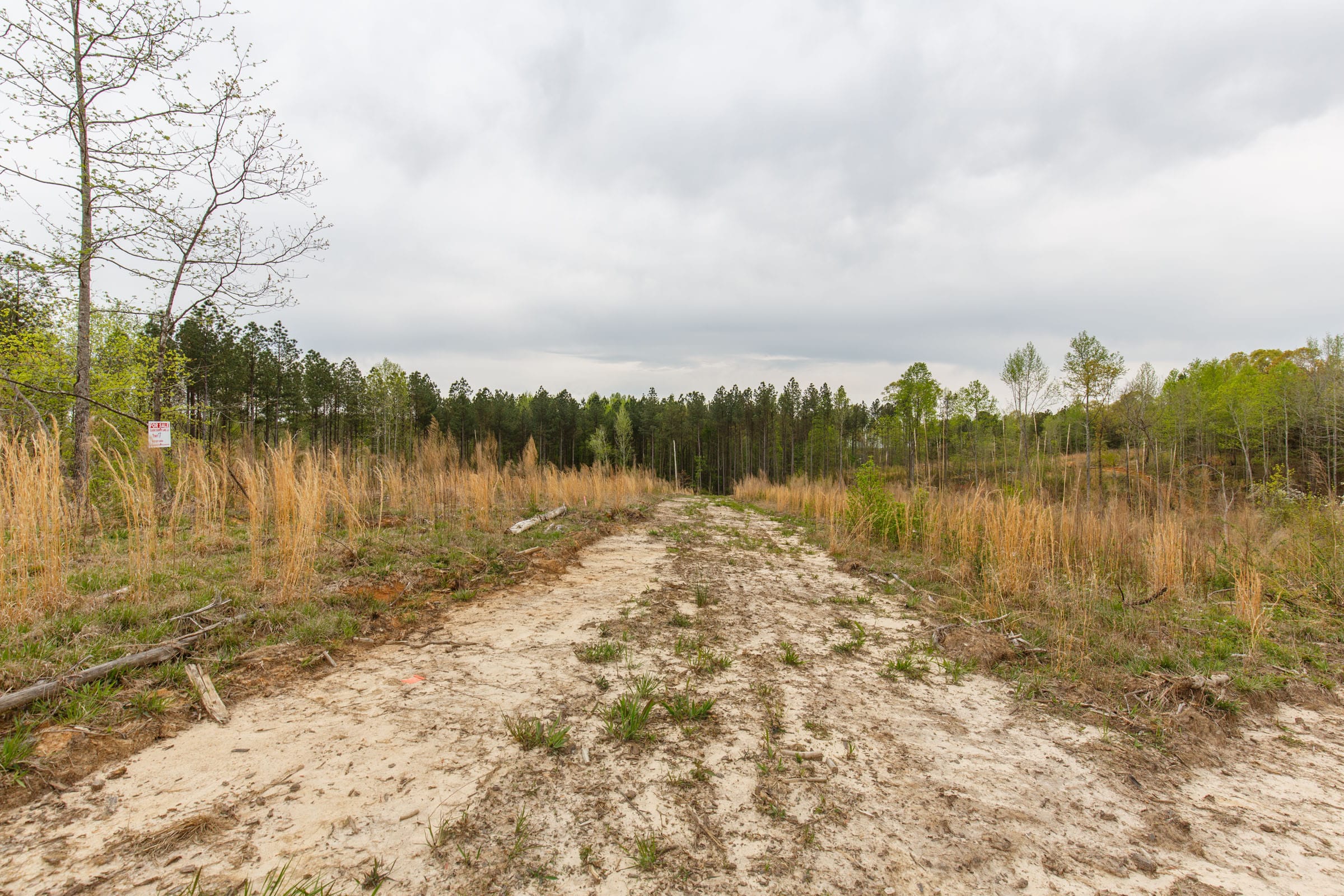Twin Rivers Tract 17 photo 2