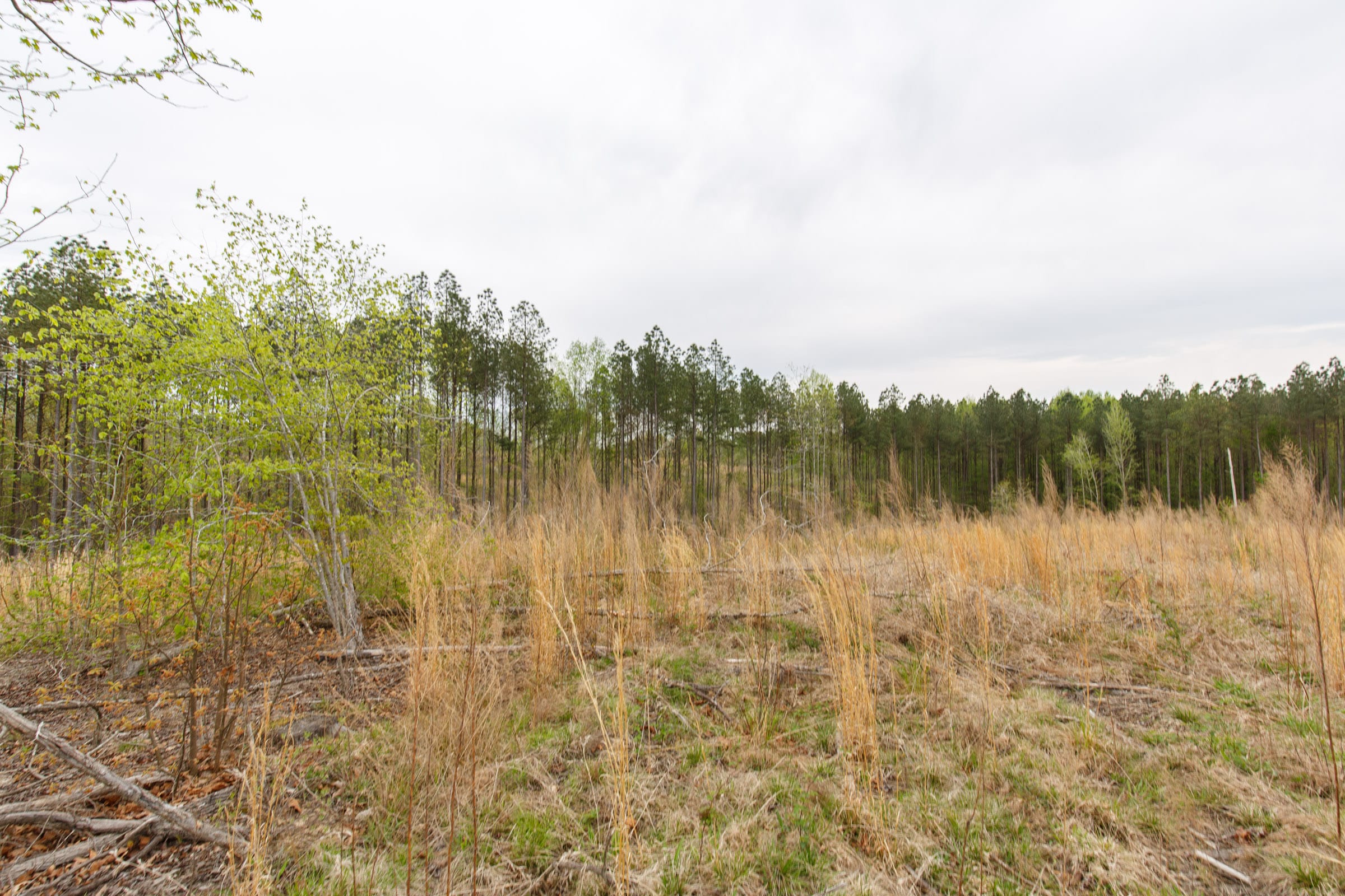 Twin Rivers Tract 17 photo 4
