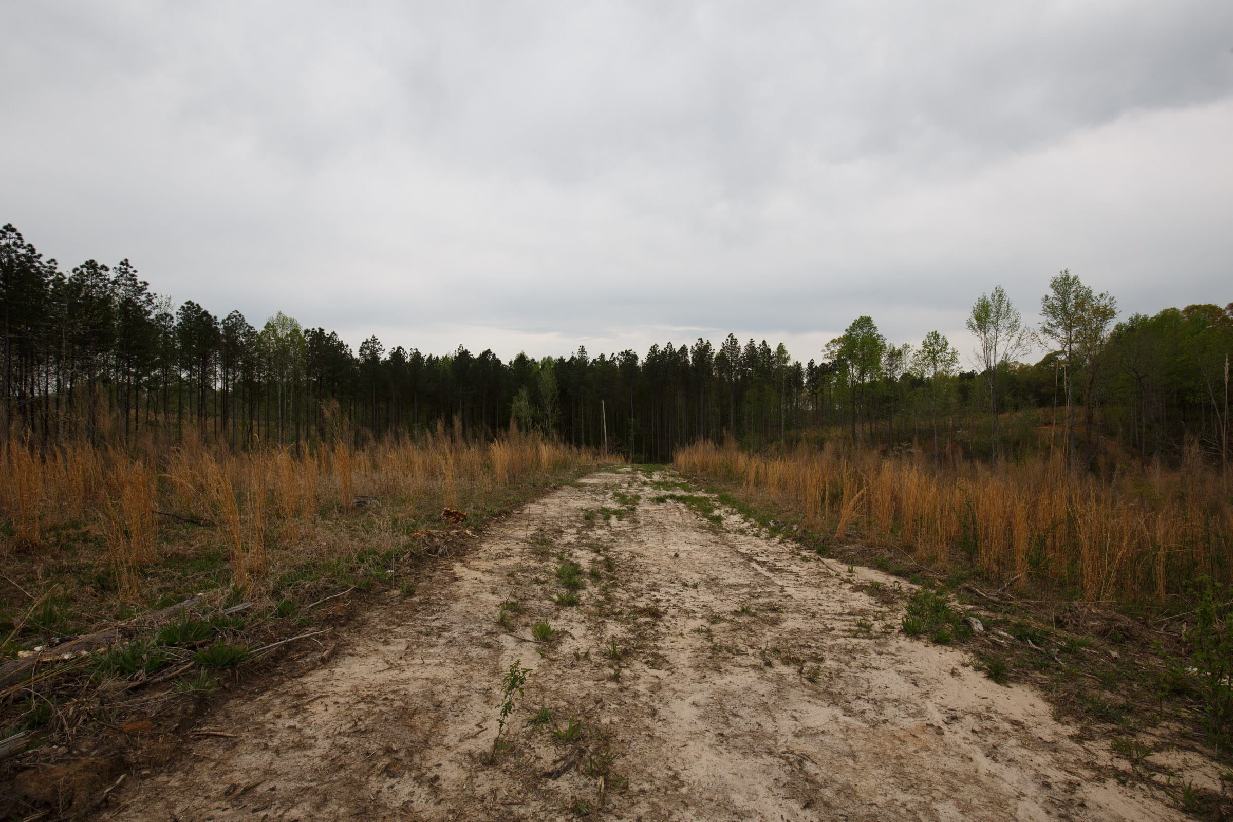 Twin Rivers Tract 17 photo 7