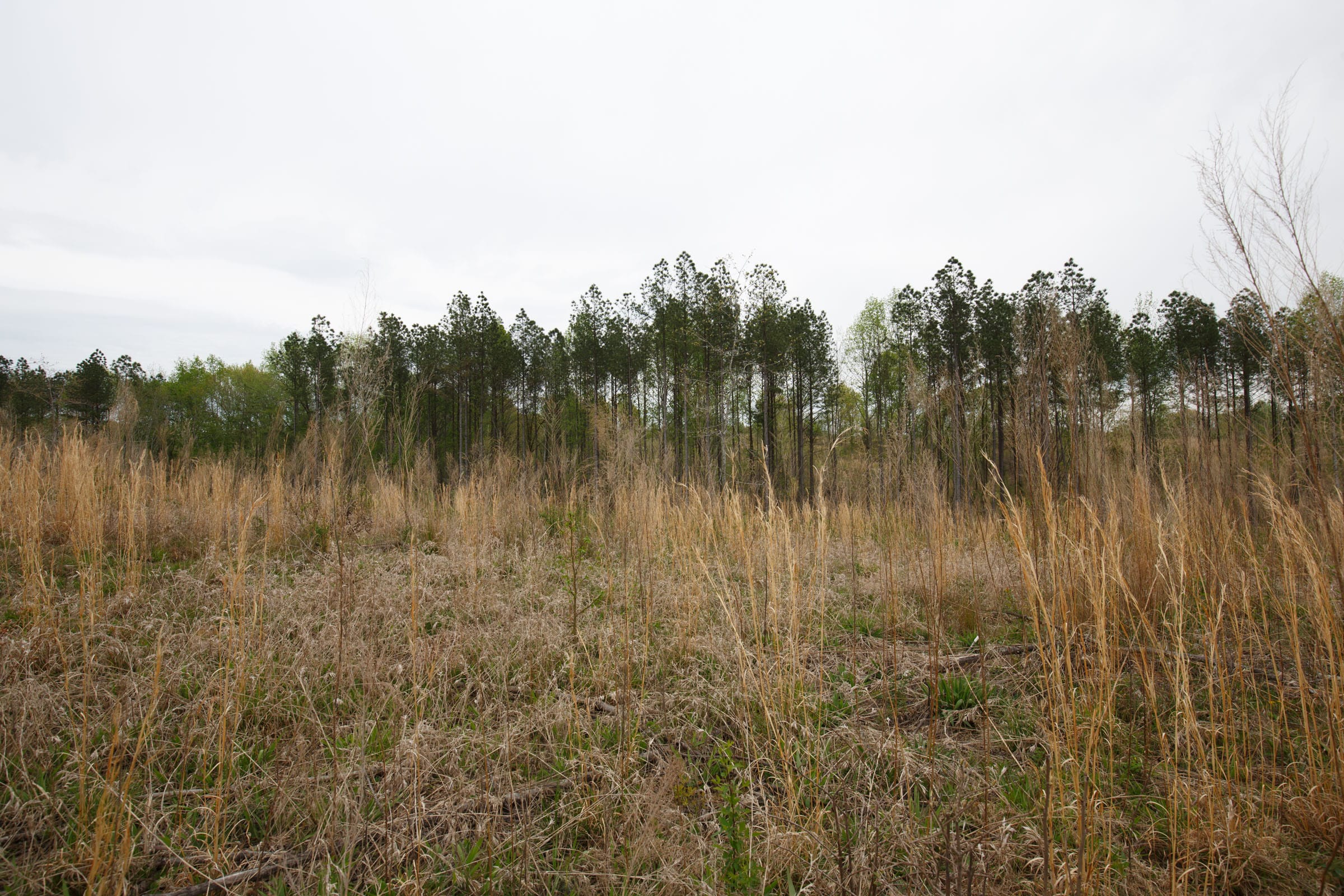 Twin Rivers Tract 17 photo 3