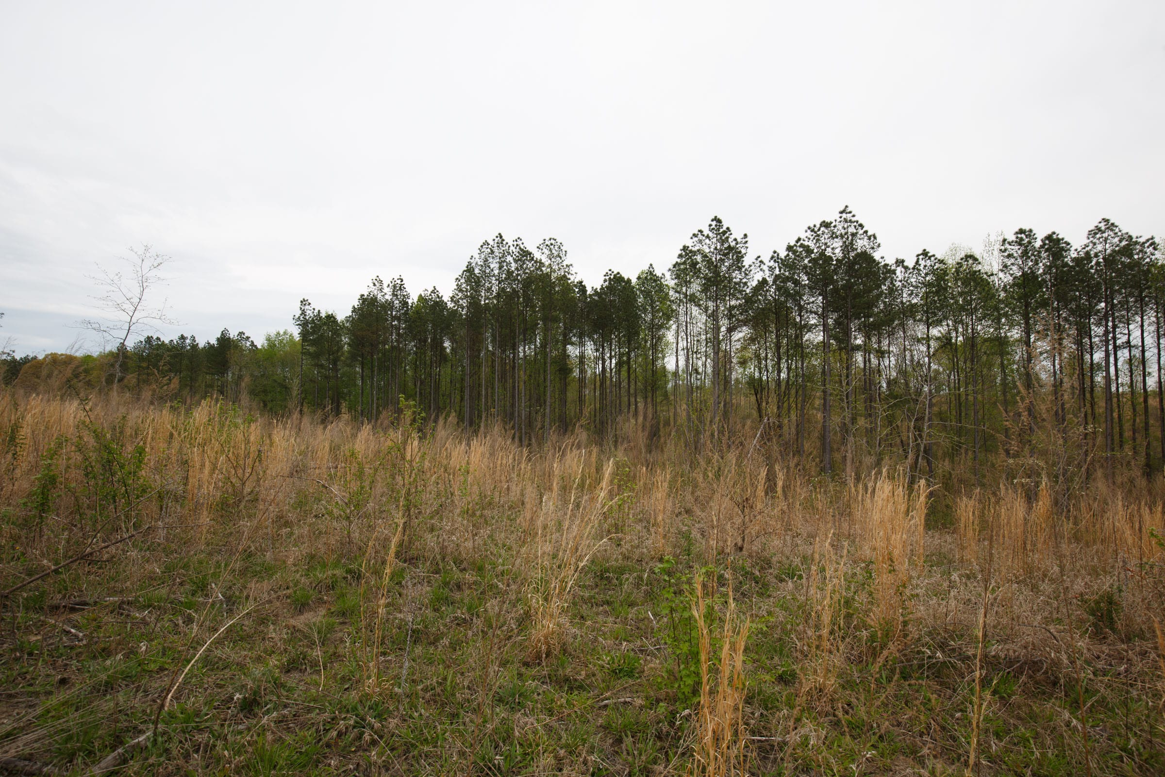 Twin Rivers Tract 17 photo 5