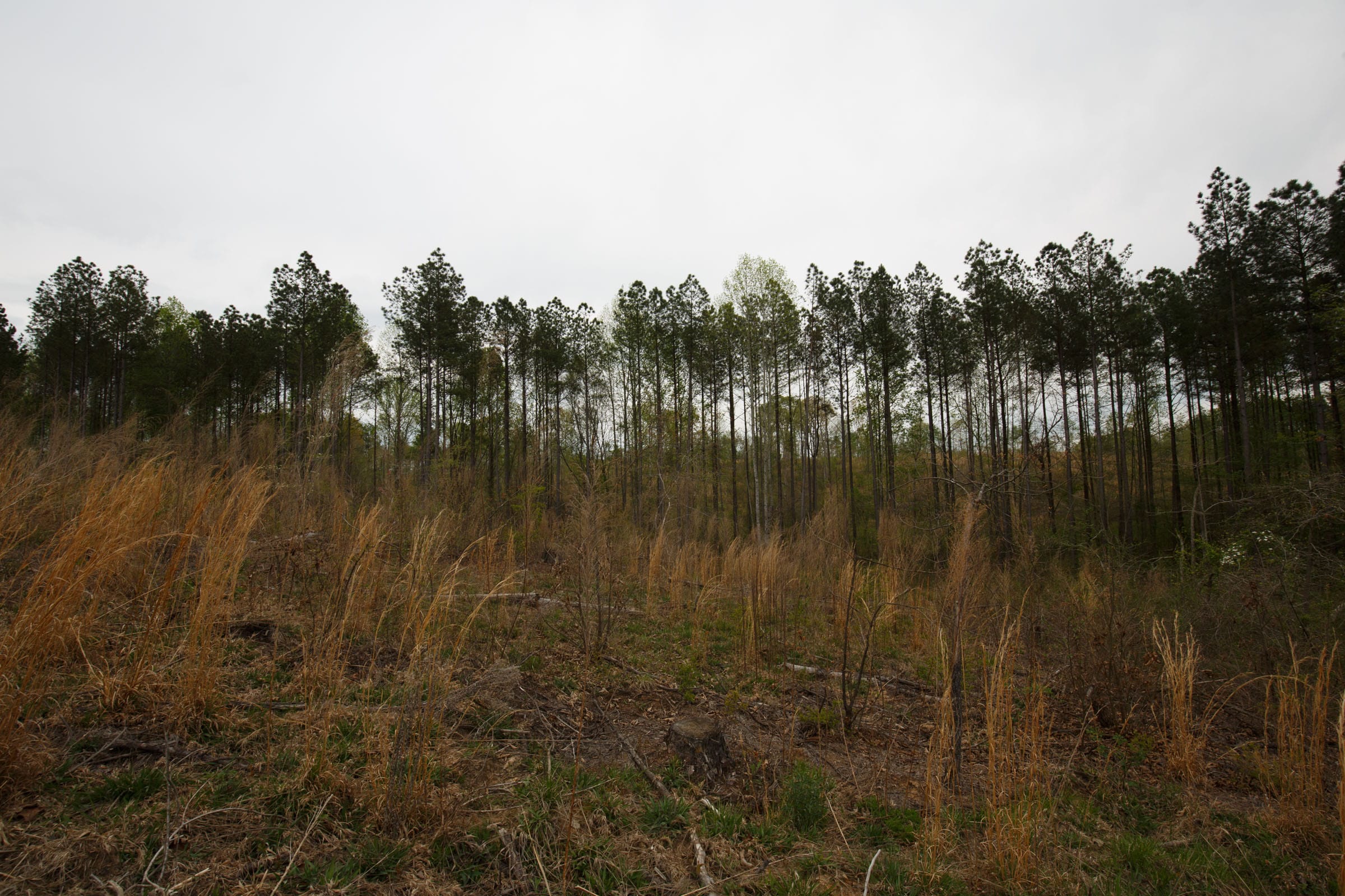 Twin Rivers Tract 17 photo 6
