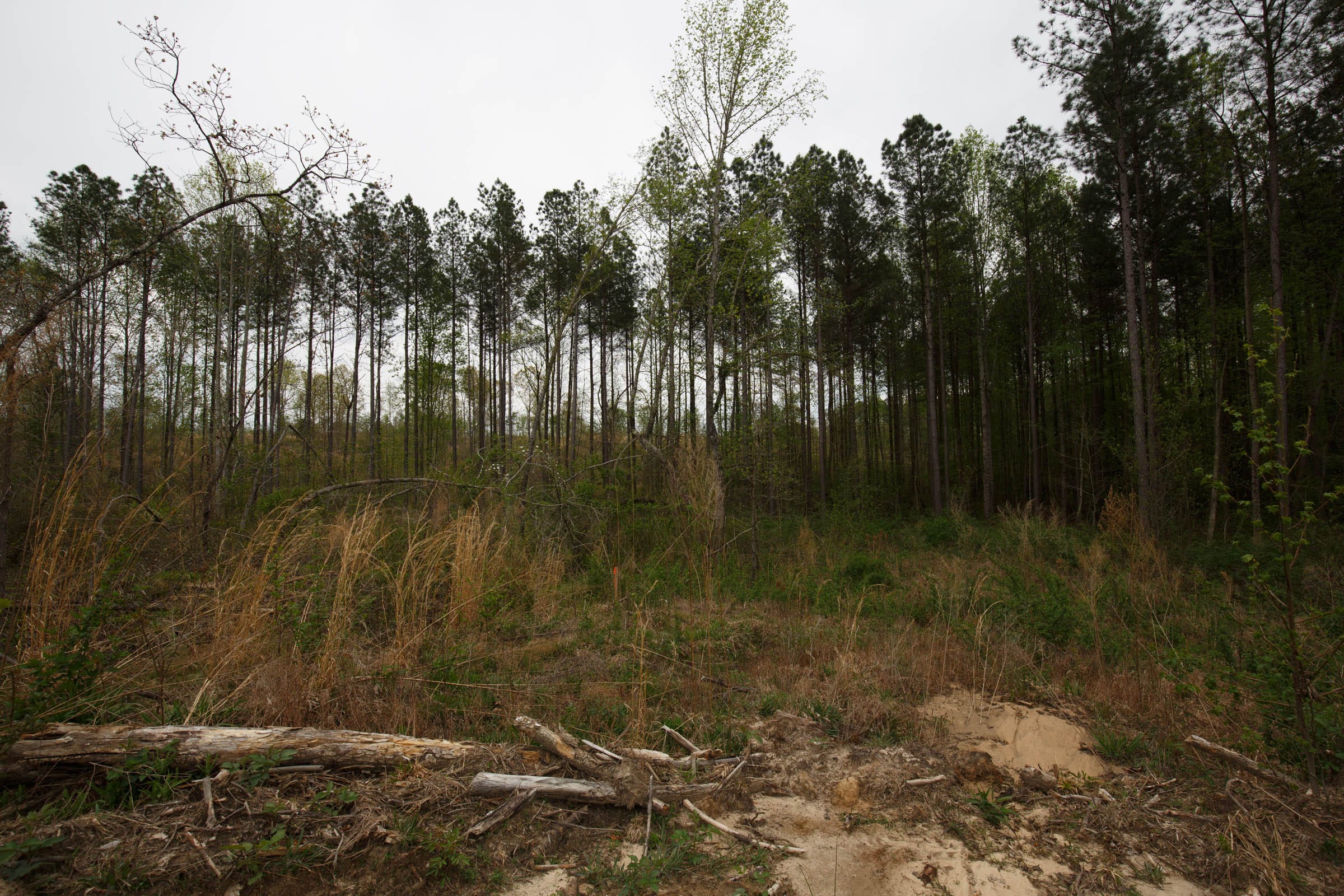 Twin Rivers Tract 17 photo 9