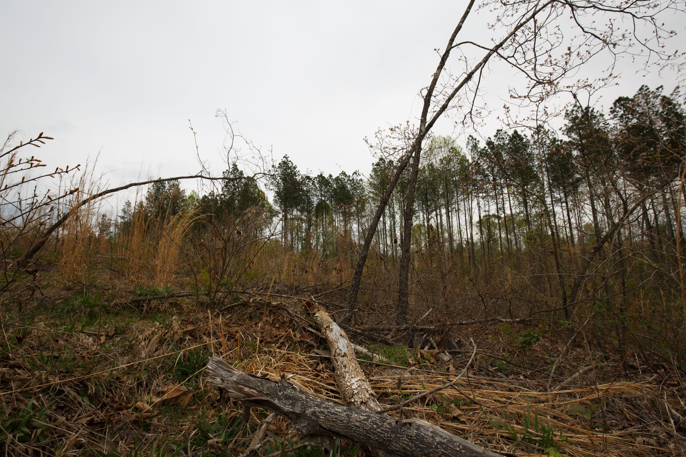 Twin Rivers Tract 17 photo 11