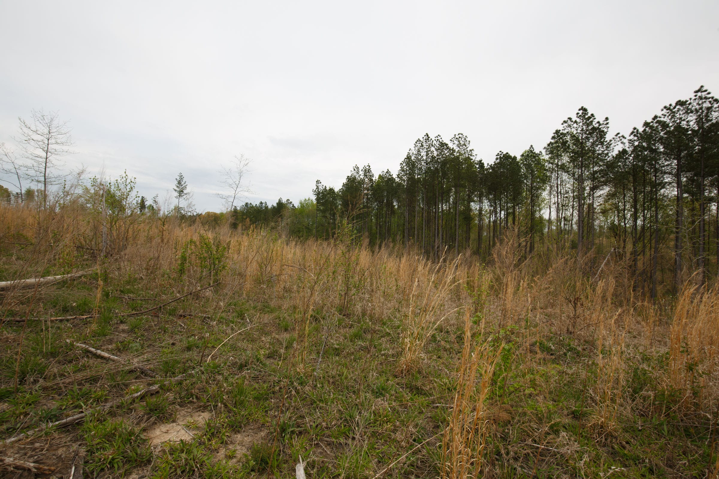 Twin Rivers Tract 17 photo 1
