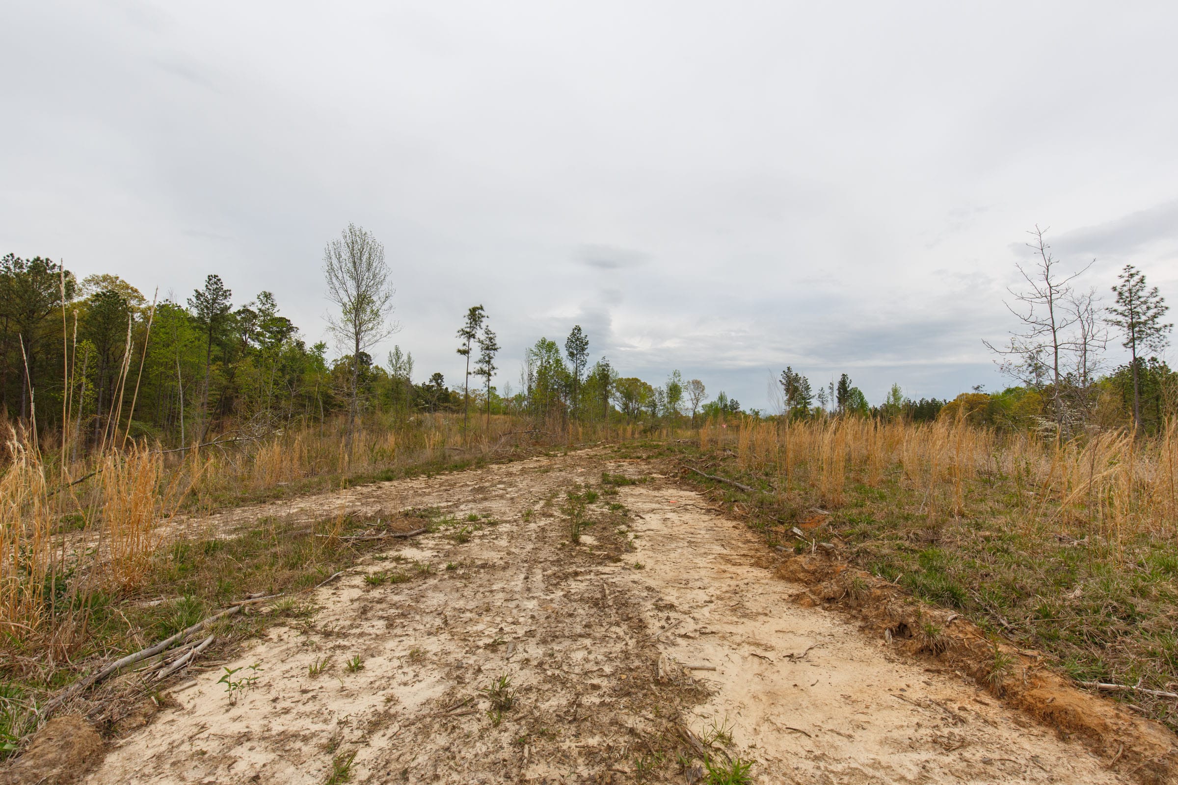 Twin Rivers Tract 17 photo 12