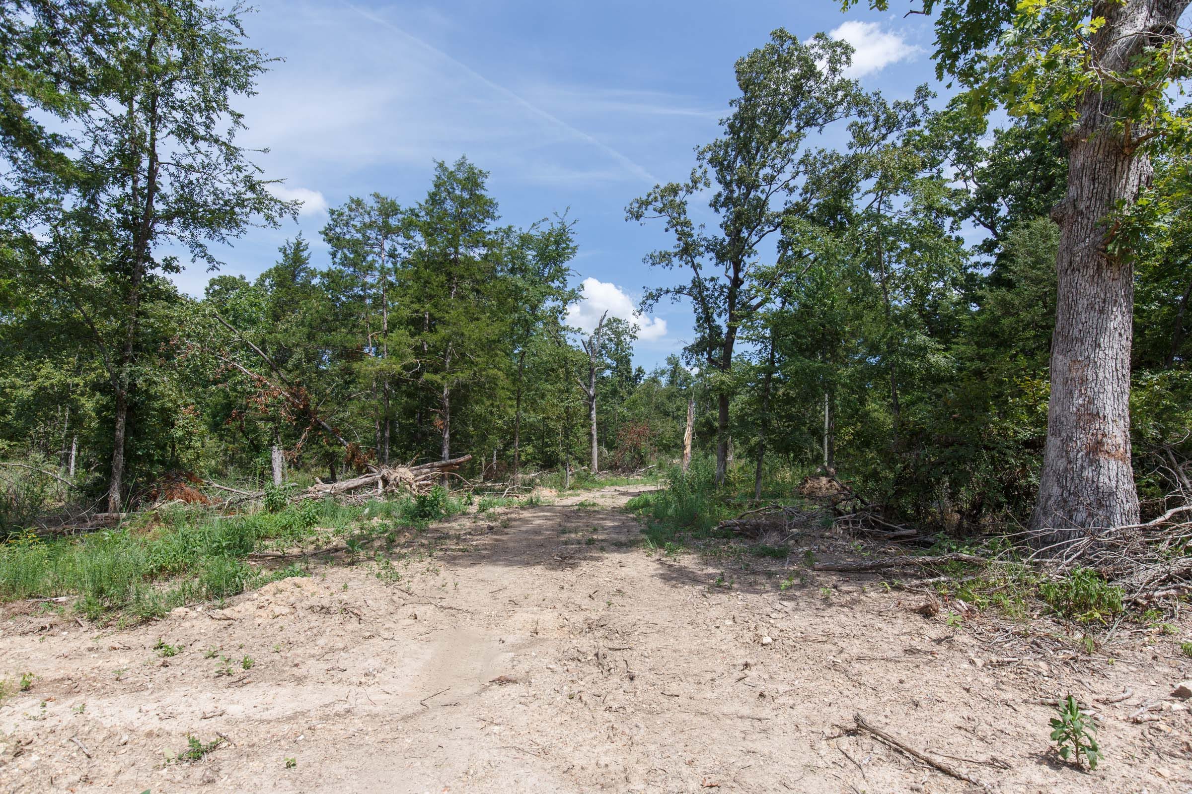 Wildwood Tract 3 photo 1