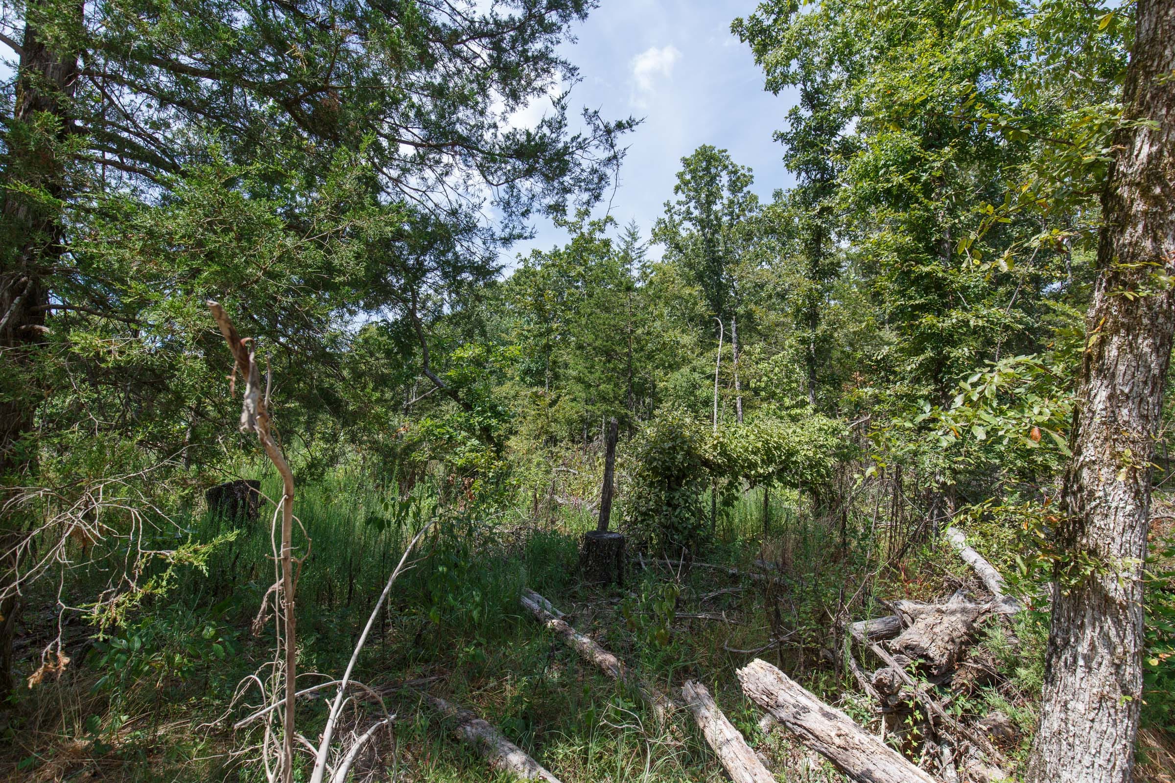 Wildwood Tract 3 photo 3