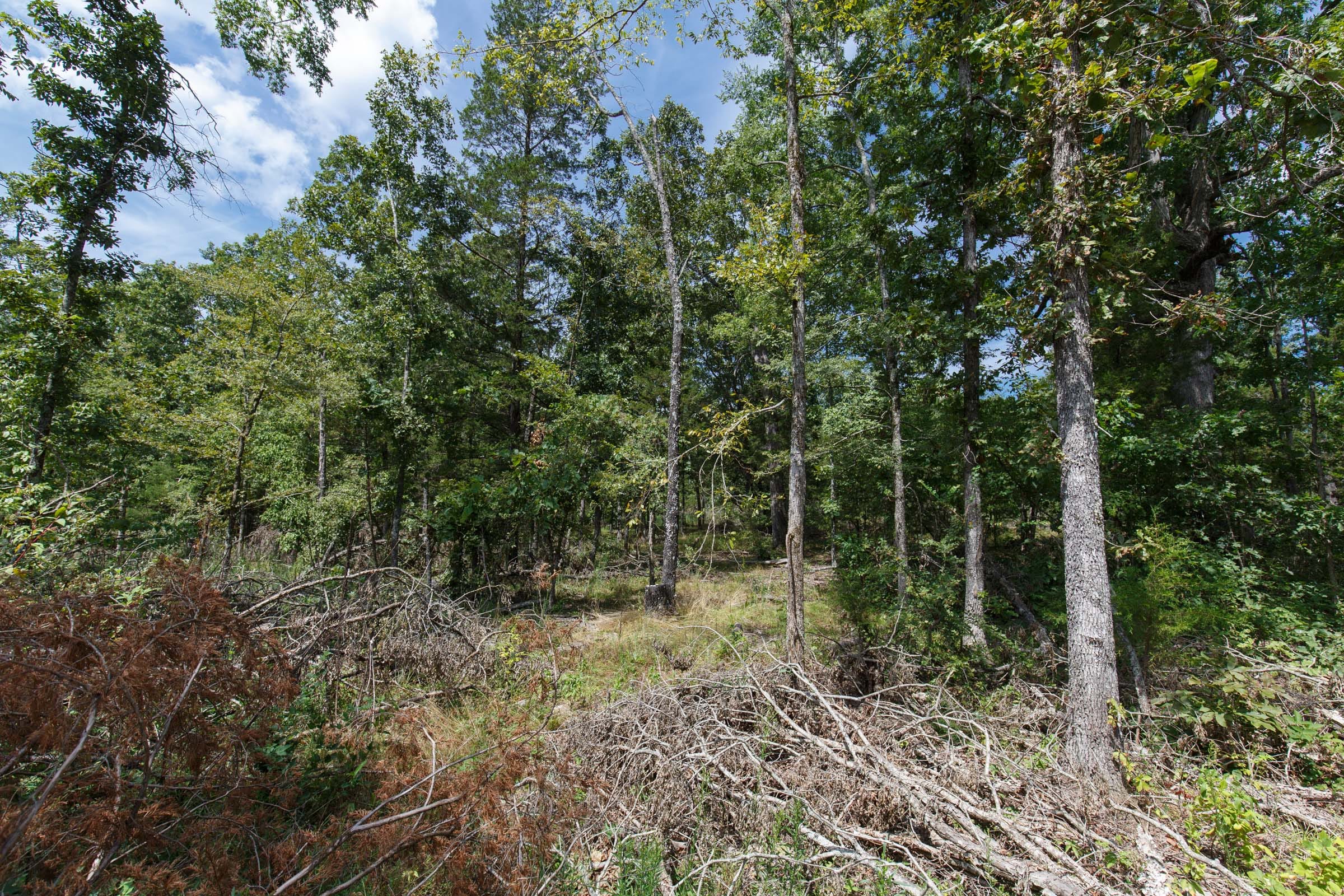 Wildwood Tract 3 photo 7