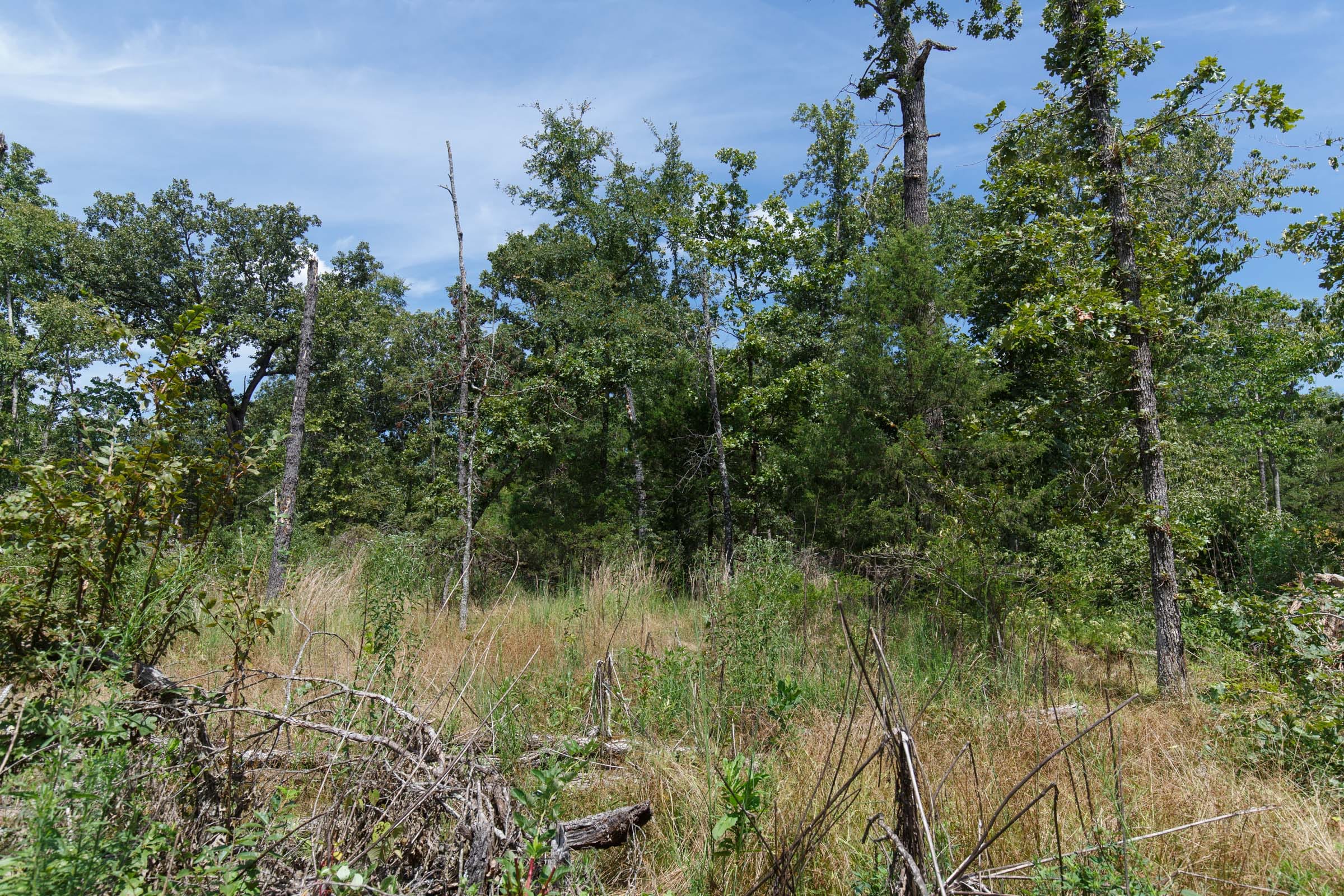 Wildwood Tract 3 photo 10
