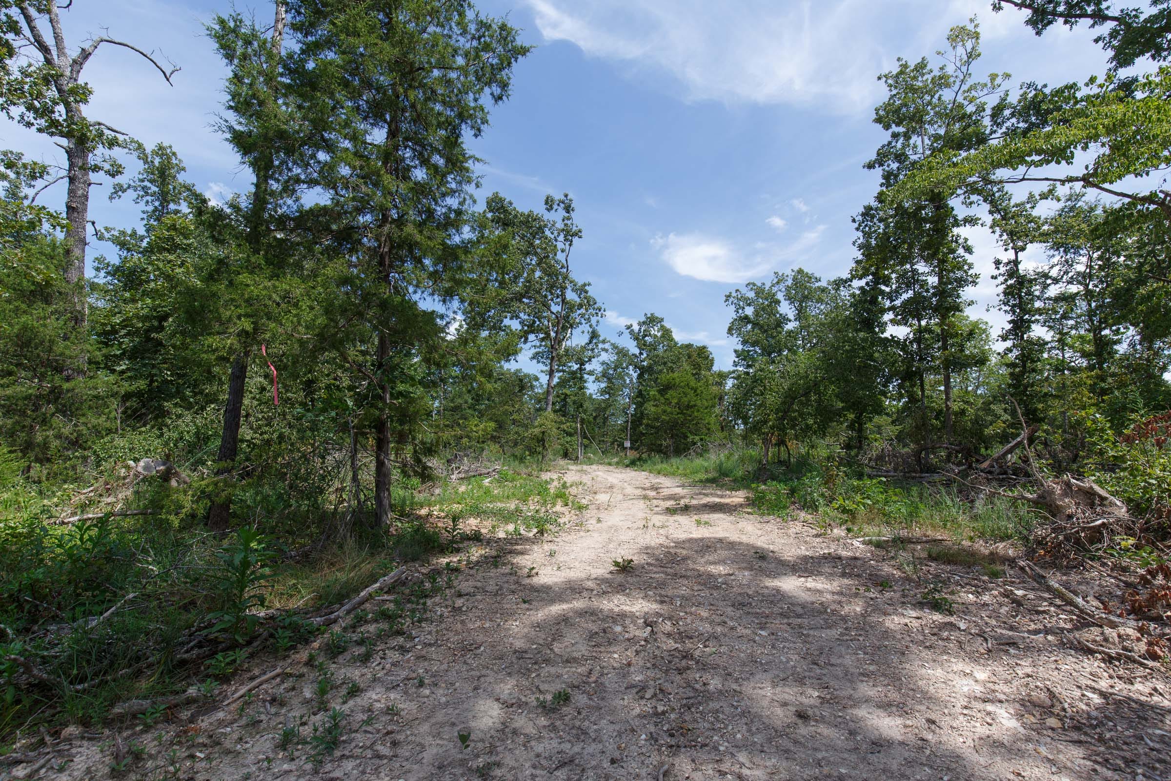 Wildwood Tract 3 photo 5