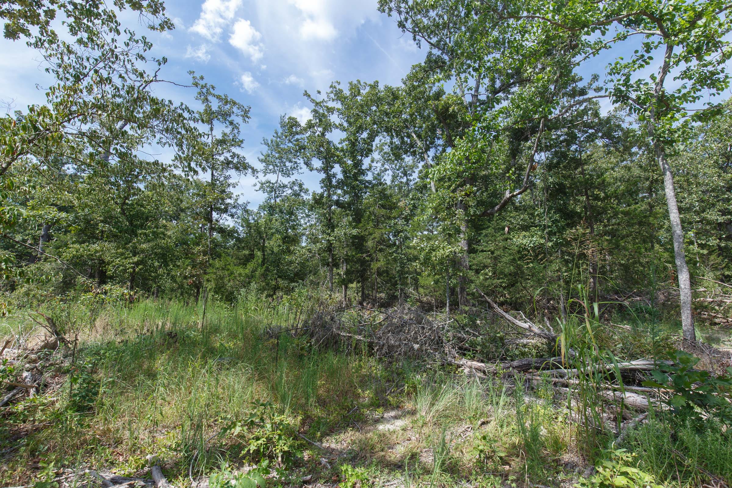 Wildwood Tract 3 photo 8