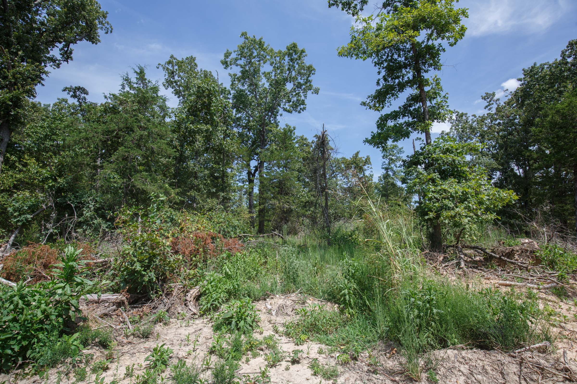 Wildwood Tract 3 photo 2