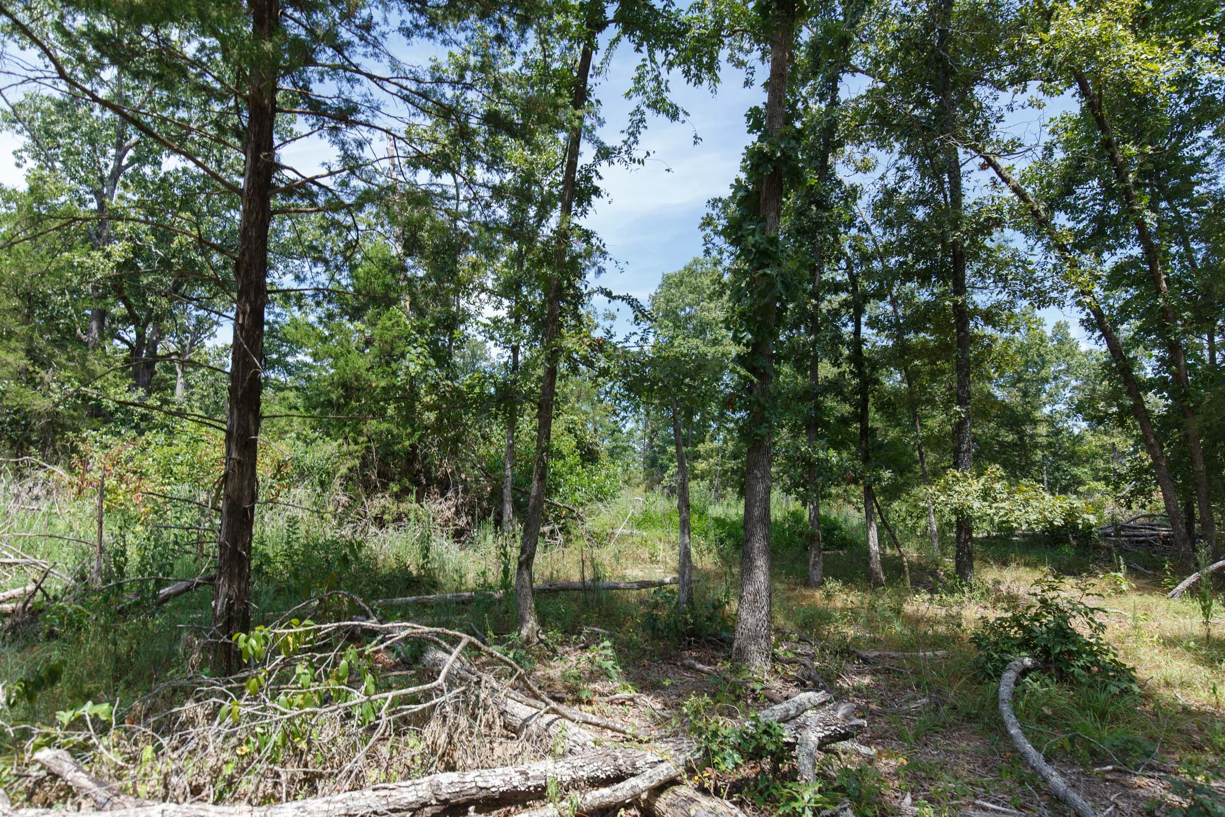 Wildwood Tract 3 photo 12